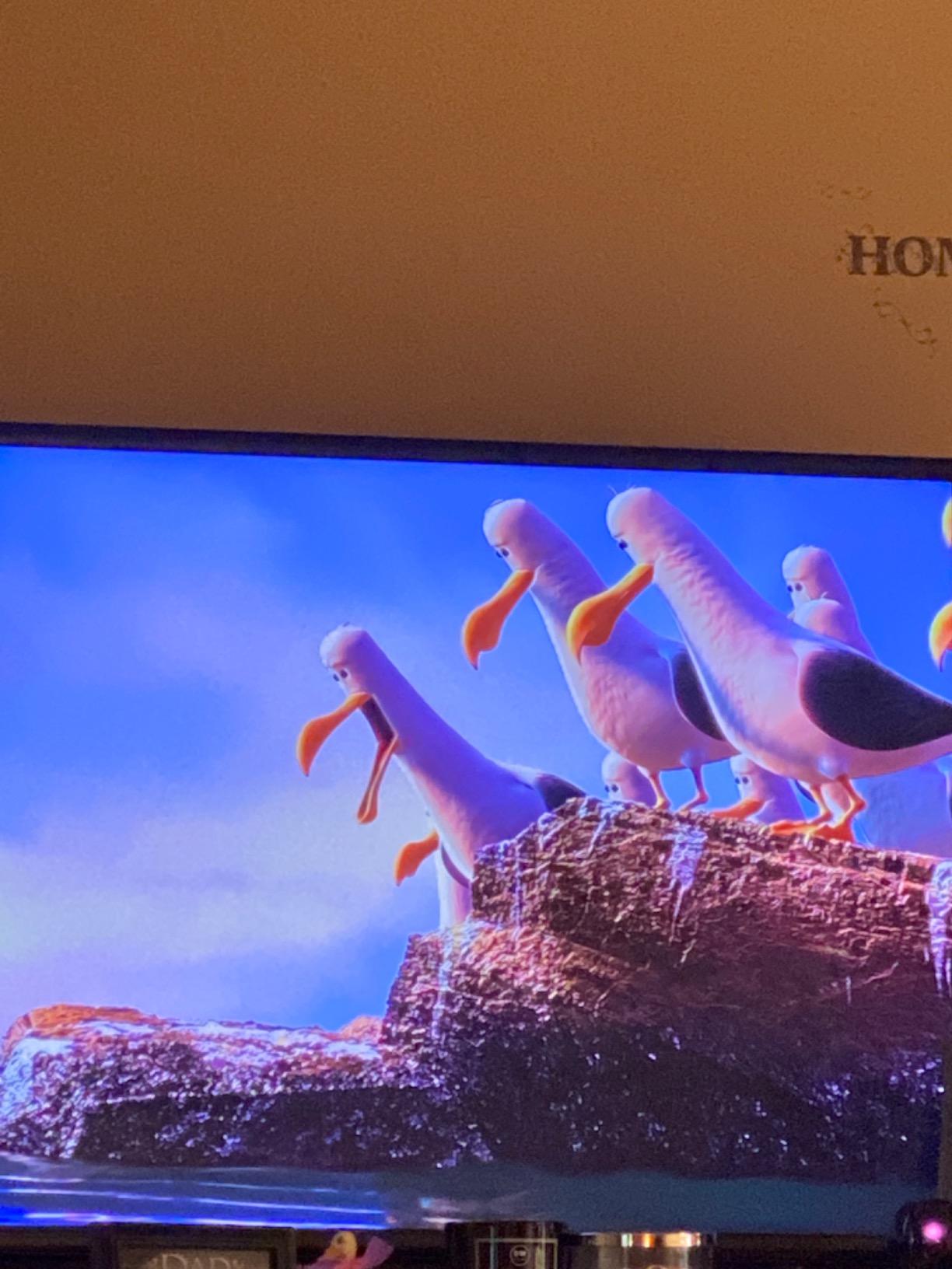 Netflix customer photo 1