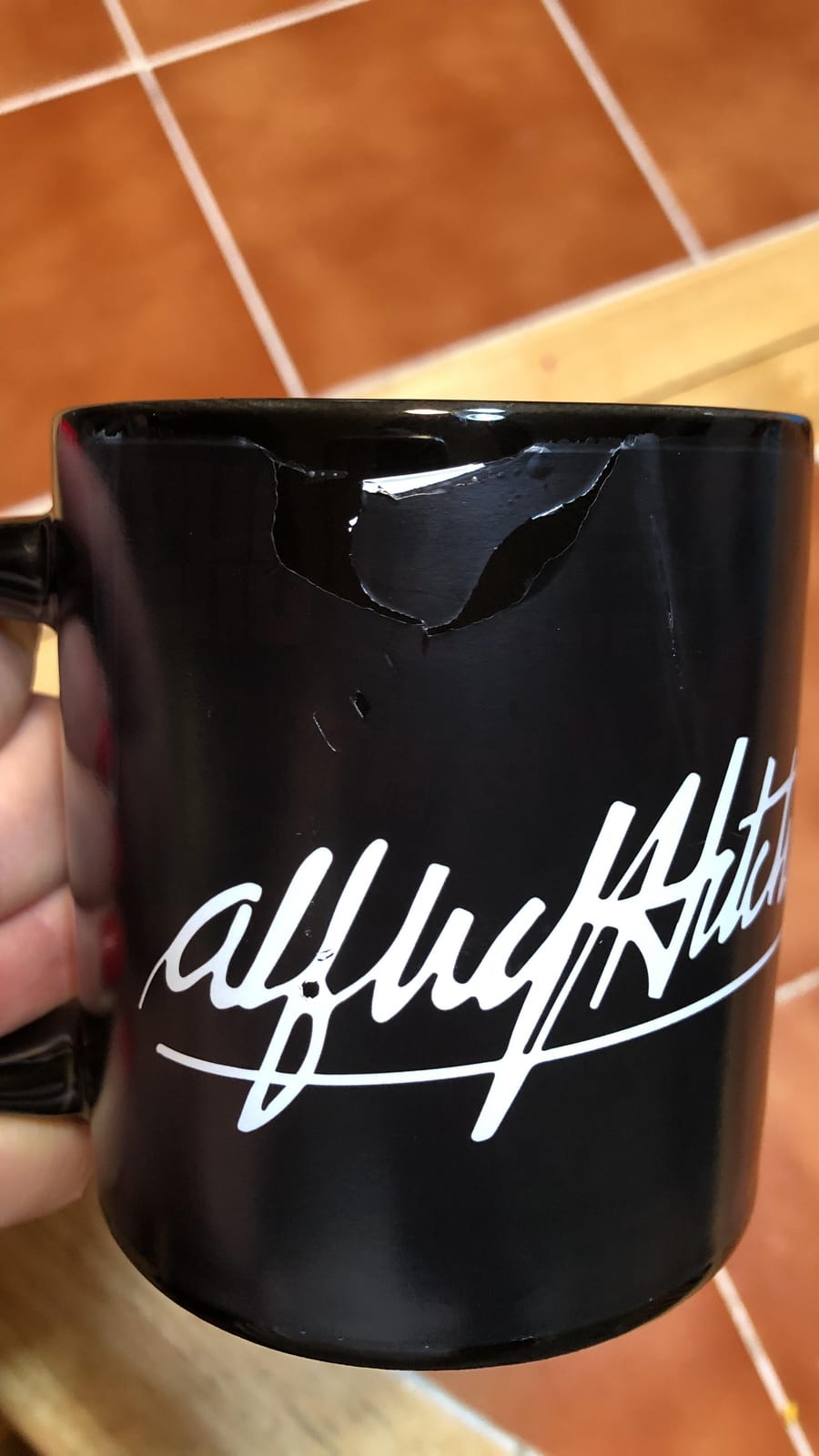 The Unemployed Philosophers Guild Heat Changing Alfred Hitchcock Movie Titles Mug - Add Coffee and Famous Films Appear, 12 oz customer photo 1