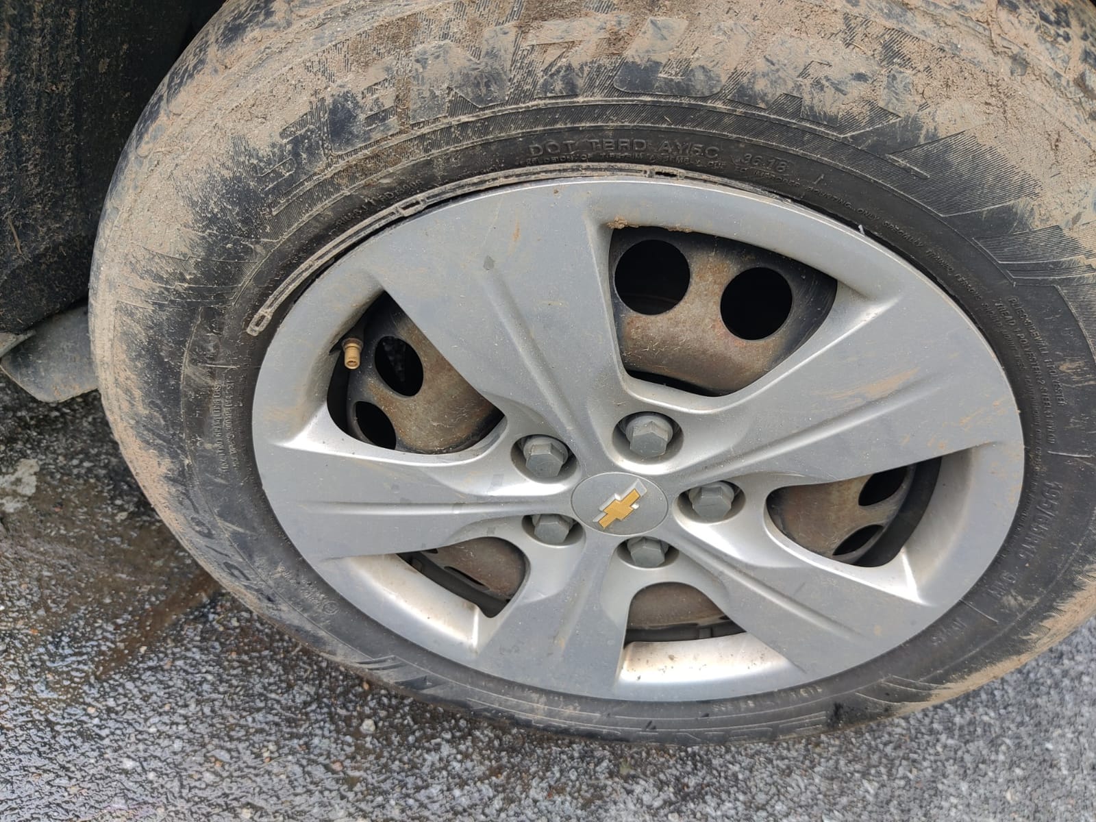 Prime Video customer photo 2