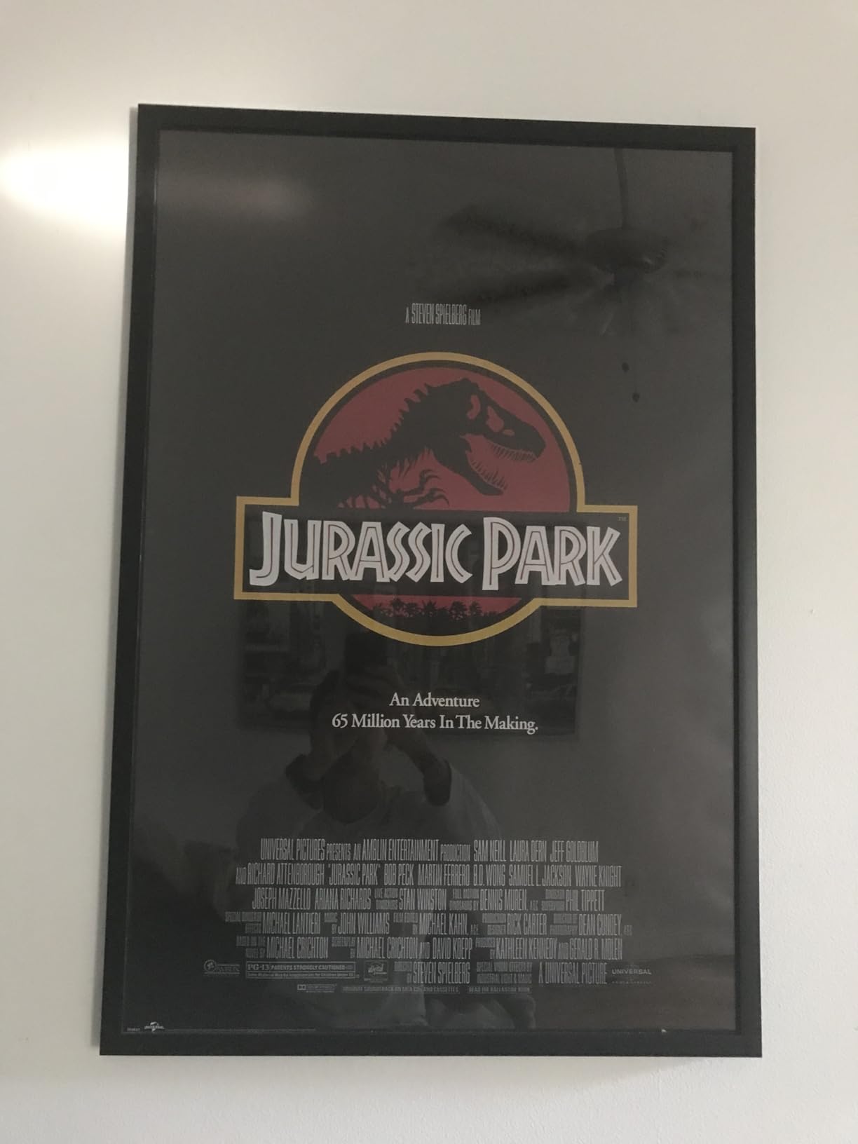 Jurassic Park - Movie Poster (Regular Style) (Size 24 x 36