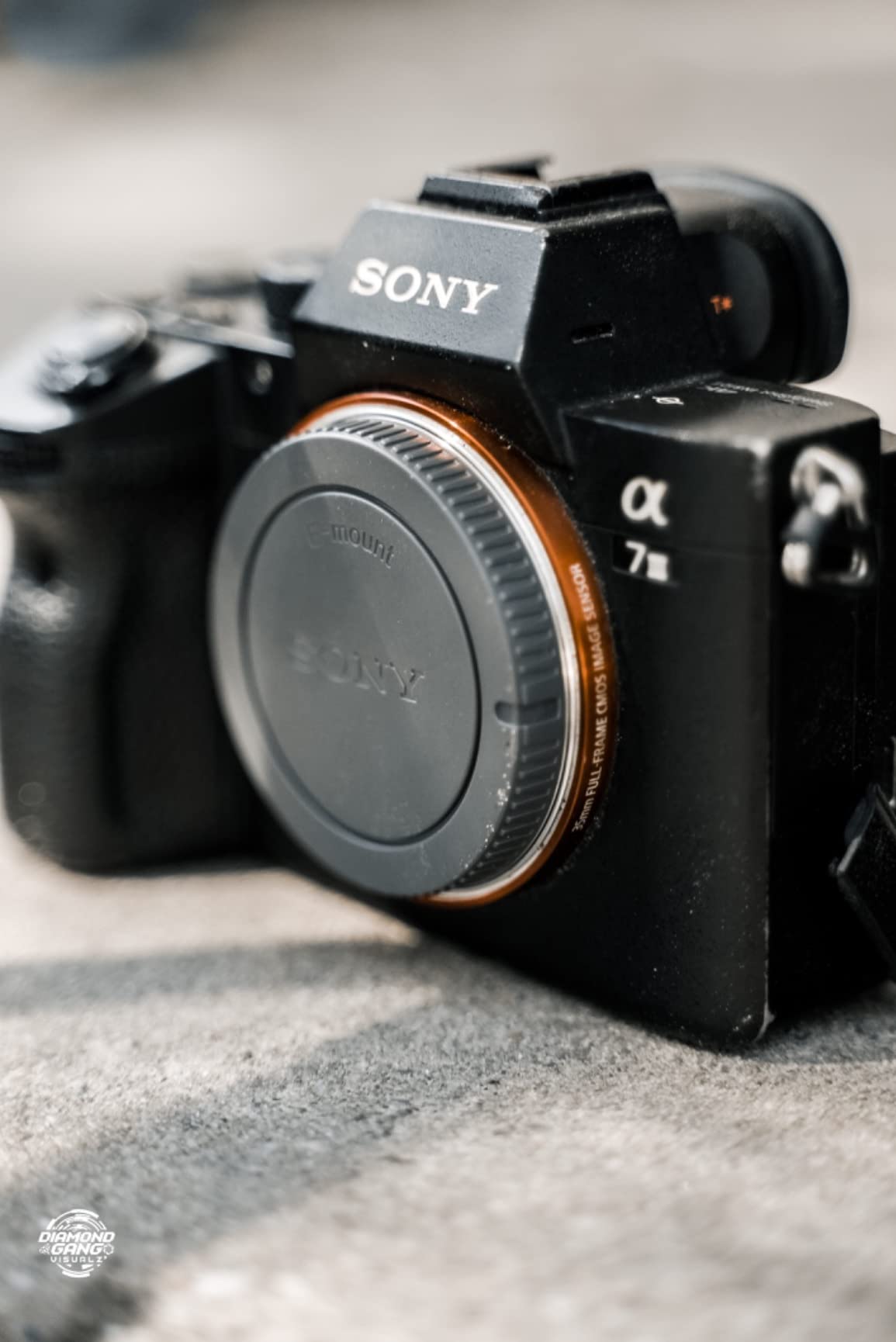 Sony Alpha a7S III Full-Frame Mirrorless Camera (Body Only) customer photo 2