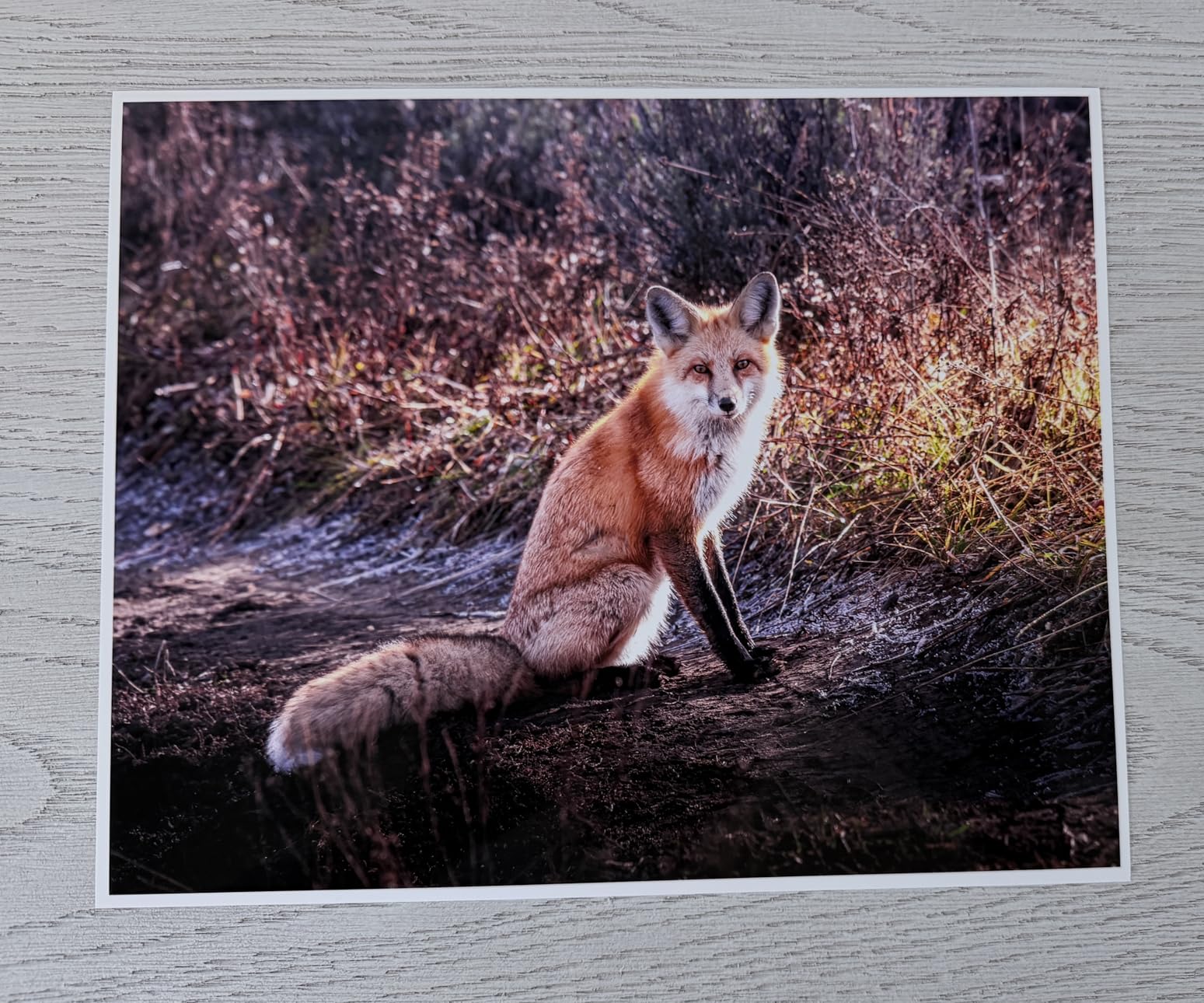 Epson EcoTank Photo ET-8550 Wireless Wide-Format All-in-One Tank Printer customer photo 1