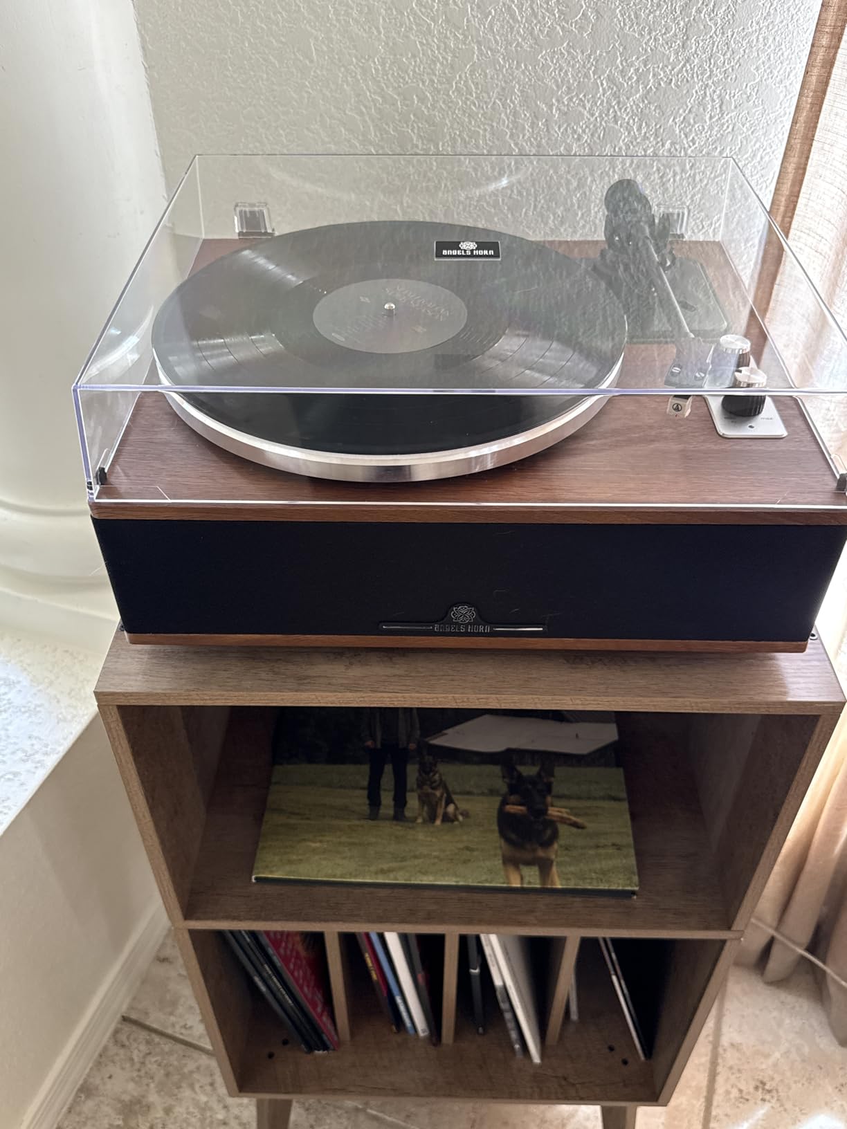 ANGELS HORN Vinyl Record Player, Bluetooth Turntable with Built in Speakers Phono Preamp, High Fidelity Turntables for Vinyl Records with Magnetic Cartridge AT-3600L, Belt Drive 2-Speed customer photo 1