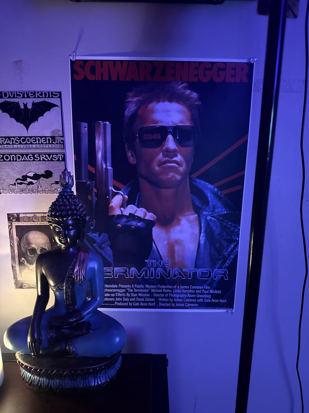 The Terminator Poster Vintage Classic Movie Posters Iconic Theater Decor Cool Wall Art Print Poster 16x24 customer photo 1