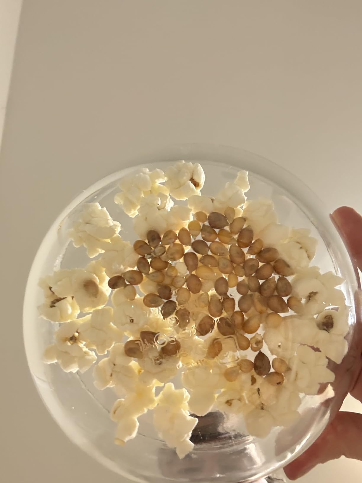 Cuisinart EasyPop Hot Air Popcorn Maker (Red) customer photo 1