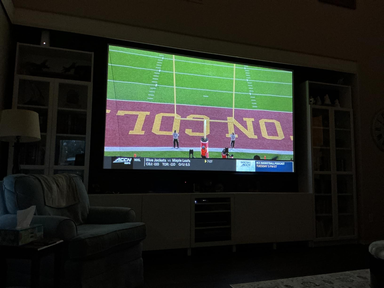 Optoma HD30LV 1080p Full HD Home Projector customer photo 2