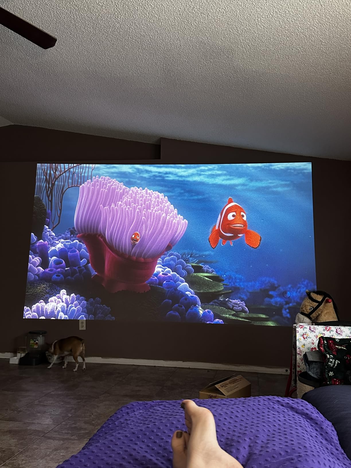 ViewSonic PA503HD 4000 Lumens 1080p Projector, Full HD High Brightness for Home Theater and Living Rooms, 1.1x Optical Zoom, Auto Keystone, Dual HDMI, and USB Inputs customer photo 2