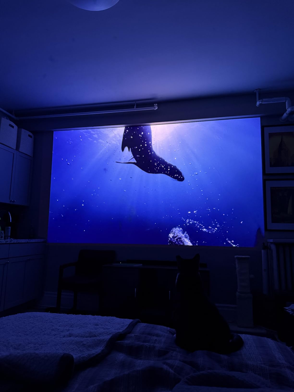 JMGO N1S Ultra 4K Triple Laser Projector, 2800 ISO Lumens, Google TV | 360° Sensorless Picture Correction, 300