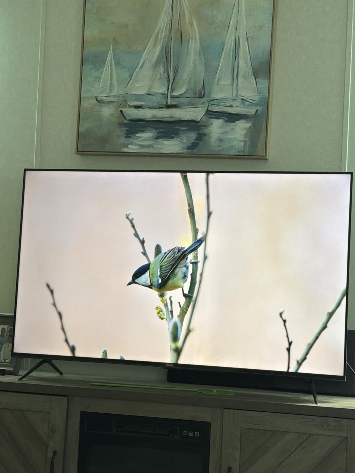 Roku 55-Inch Plus Series Smart TV - 4K QLED Mini-LED TV - RokuTV customer photo 1