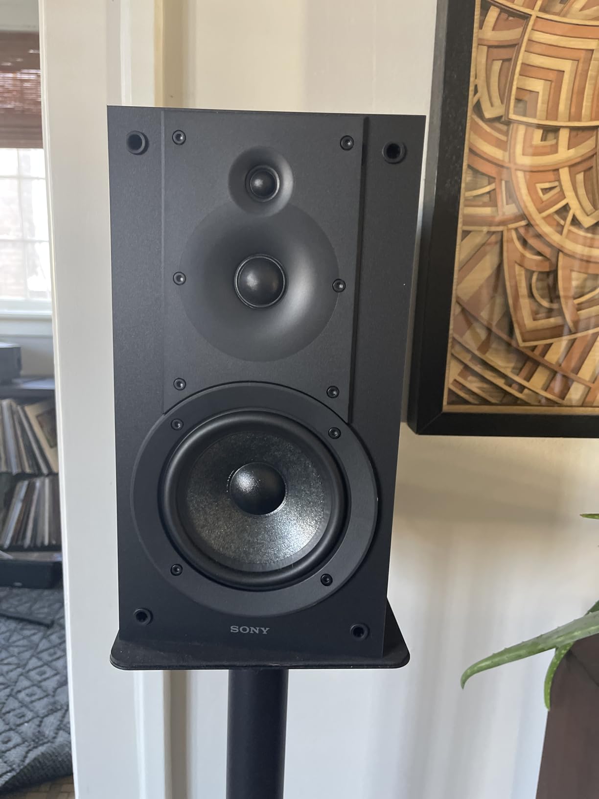 Sony SS-CS5M2 3-Way 3-Driver Hi-Res Compact Bookshelf Speakers (Pair) customer photo 1
