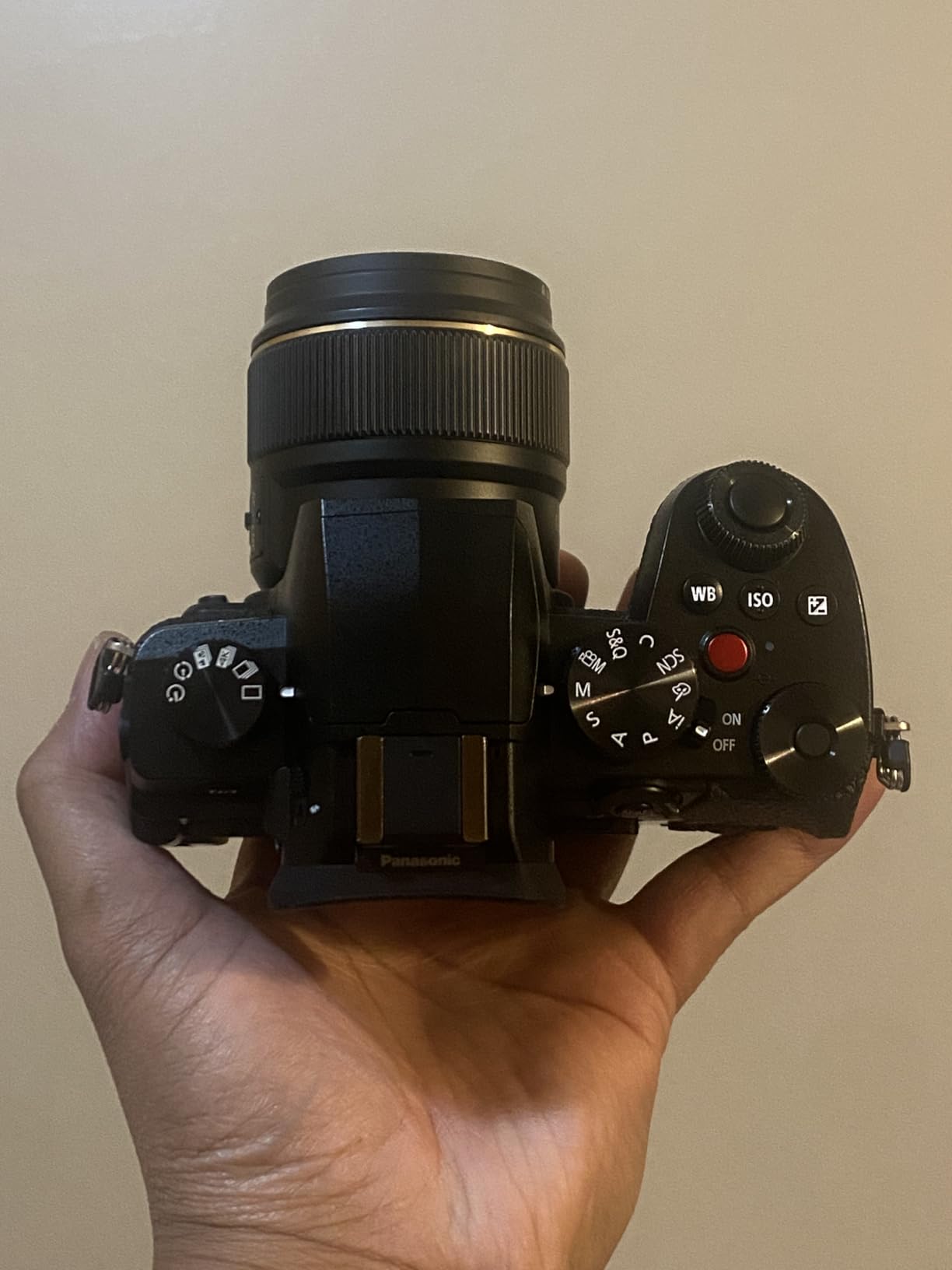 LUMIX G97 Compact Hybrid Micro Four Thirds Mirrorless Camera with LUMIX G Vario 12-60mm / F3.5-5.6 Lens, Designed for Content Creators in Photo & Video, DC-G97MK9 customer photo 1