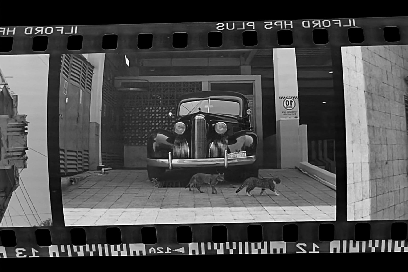 Compact 35mm Film Developing Tank & Kit, No Dark Bag Needed, 135 Film Darkroom Equipment with Magnetic Clips, Easy-to-Use Portable Black & White Developer Tools customer photo 2