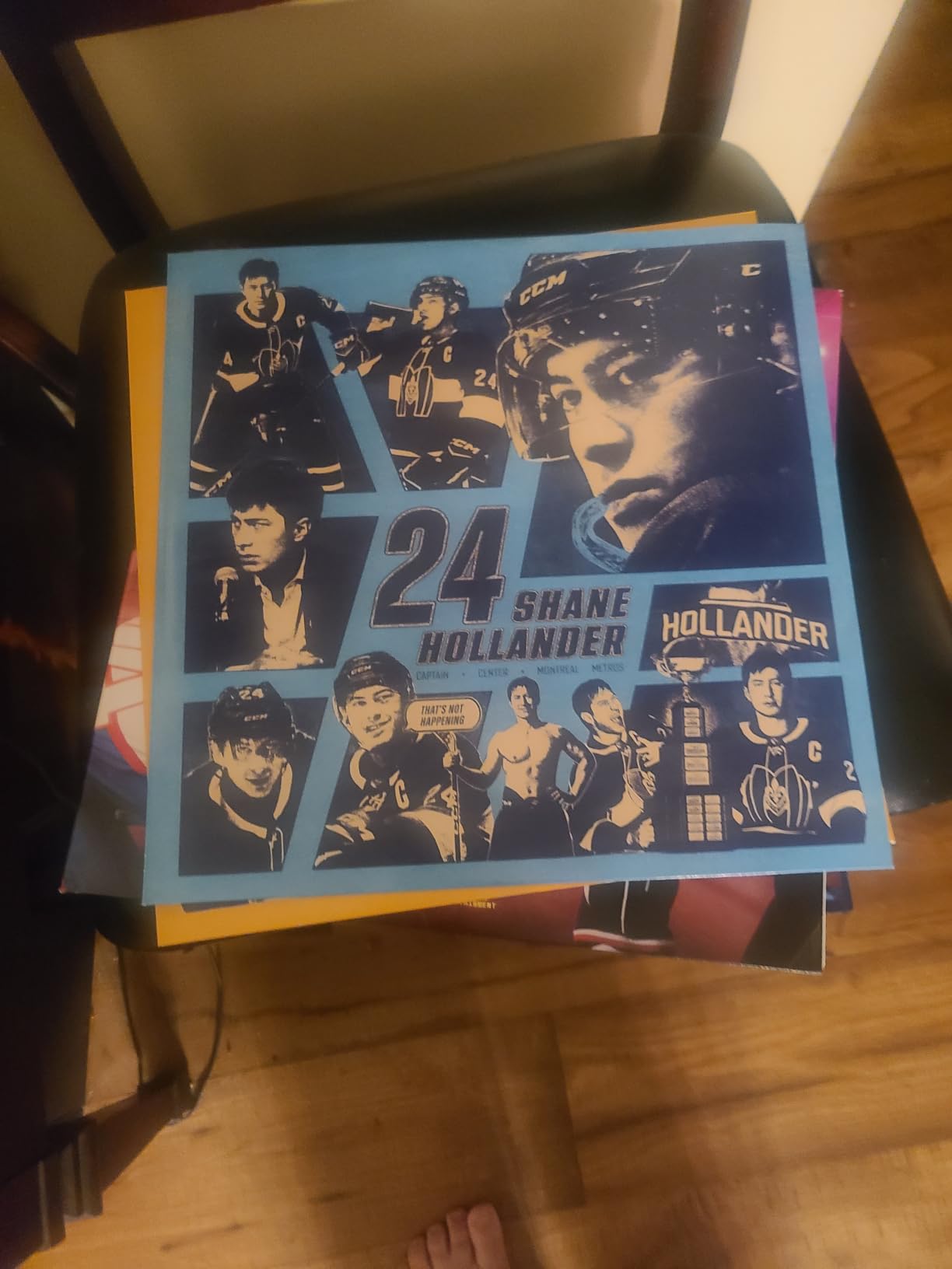 Heated Rivalry: Original Soundtrack - Deluxe Double Record Album - Includes Trading Cards and Poster customer photo 2