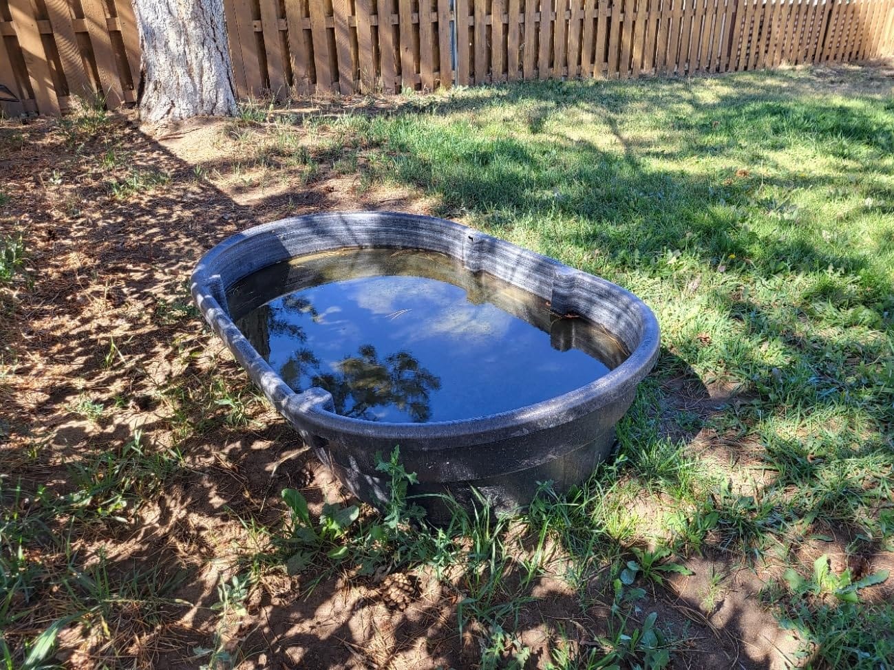 Rubbermaid Commercial Products Stock Tank 300-Gallons Structural Foam Heavy Duty Container for Livestock/Animal/Cattle Feed & Water Outdoor Homemade Pool/Hot Tub/Bathtub & Pet Cleaning/Dog Wash customer photo 2
