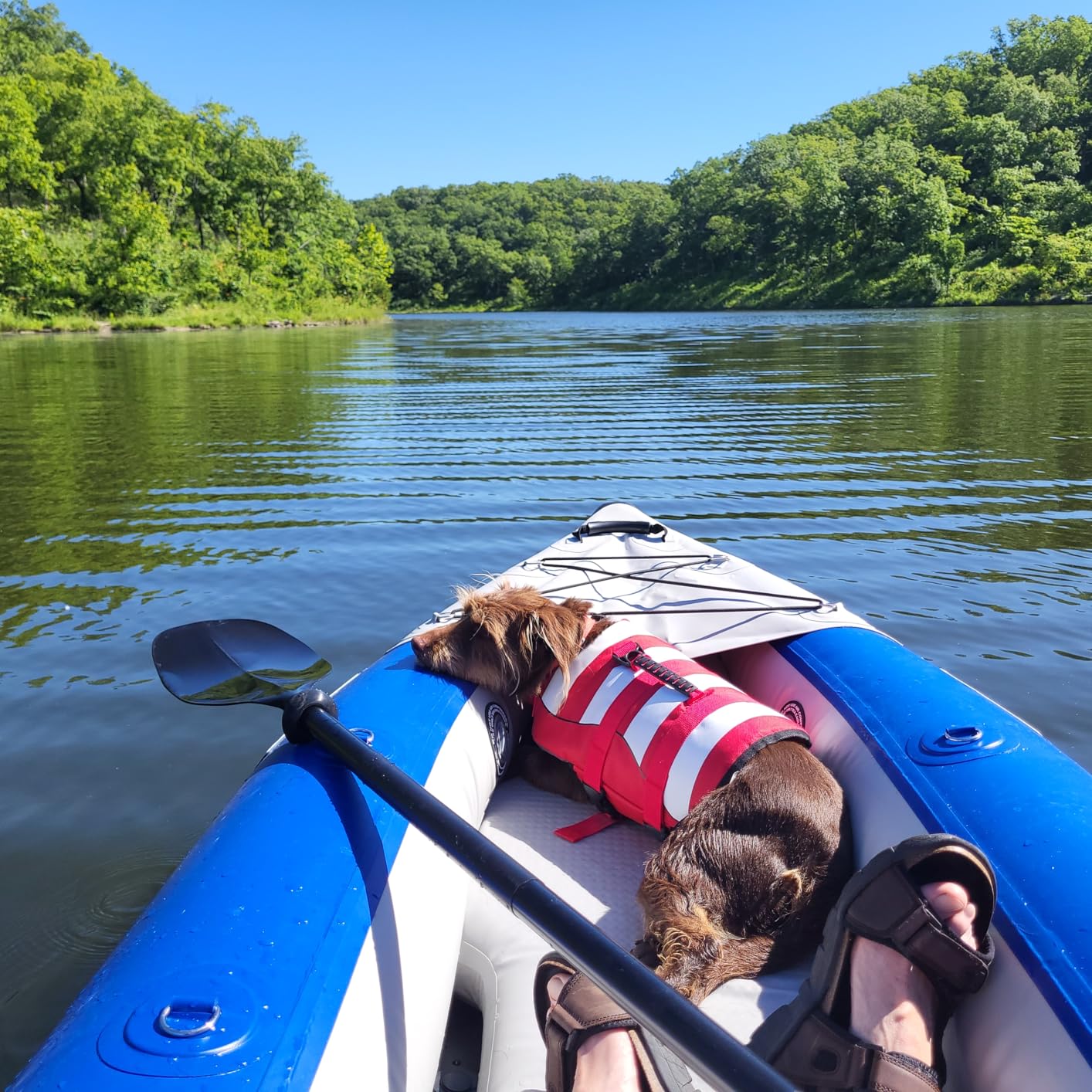 Sea Eagle 420X Explorer Inflatable Kayak- Fishing, Touring, Camping, Exploring &White Watering-Self Bailing, Removable Skeg, Drop Stitch Floor customer photo 1
