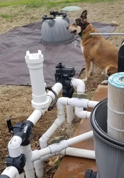 Pentair R171096 Rainbow 320 Automatic in-Line Chlorine/Bromine Feeder for Pool and Spa customer photo 2