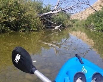 Bending Branches Whisper Kayak Paddle – 2‑Piece Aluminum Shaft, Polypropylene Blades, Adjustable 0°/60° Feathering, Black Comfort Grips, Dihedral Blade Design for Recreational Paddling customer photo 1