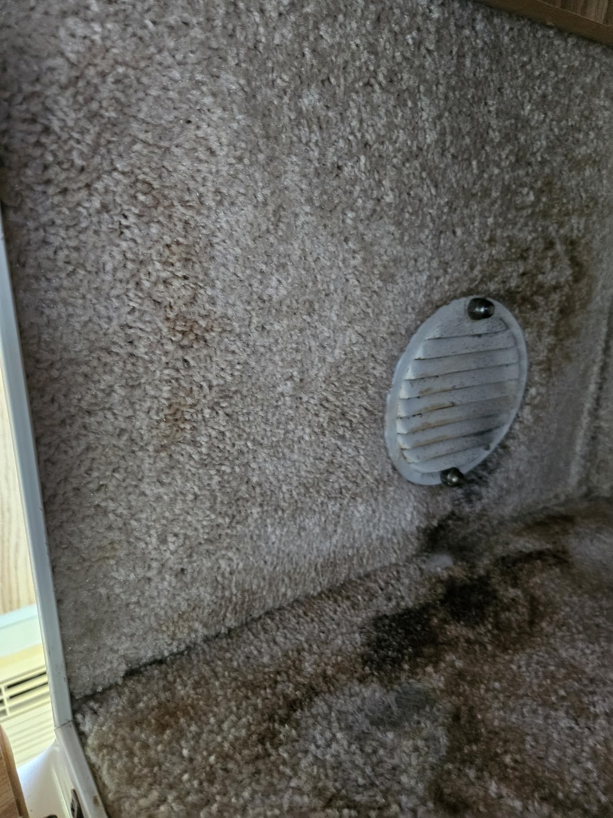 Chemical Guys, Lightning Fast Carpet & Upholstery Stain Extractor, 16 oz | Tackles coffee, soda, wine and pet messes on carpet, seats and mats, just spray, agitate and blot for a clean look. customer photo 2