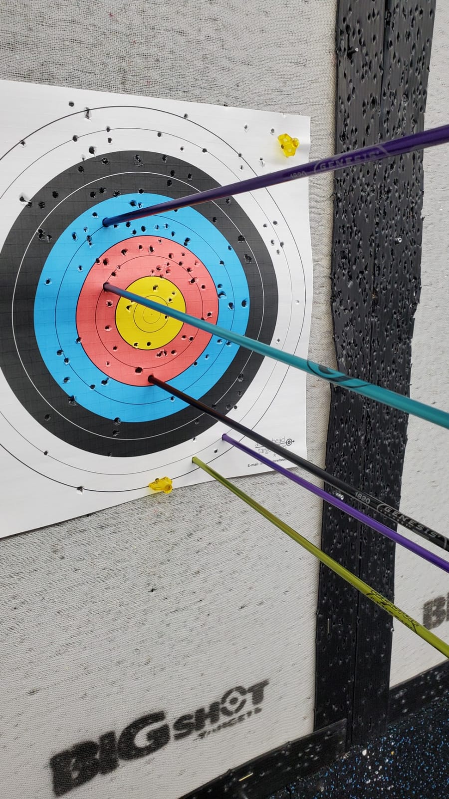 Genesis Archery Original Lightweight Compound Bow with Adjustable Aluminum Riser, 15