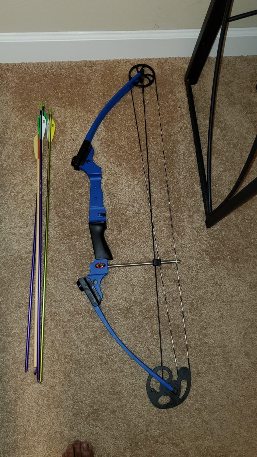 Genesis Archery Original Lightweight Compound Bow with Adjustable Aluminum Riser, 15