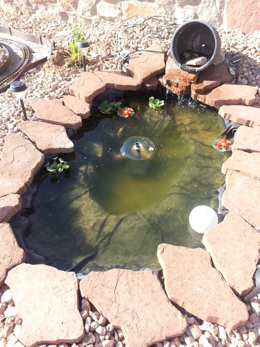 Koolatron 270 Gallon Pond Kit with Lighting, Black, (KSPK-270SL) customer photo 1