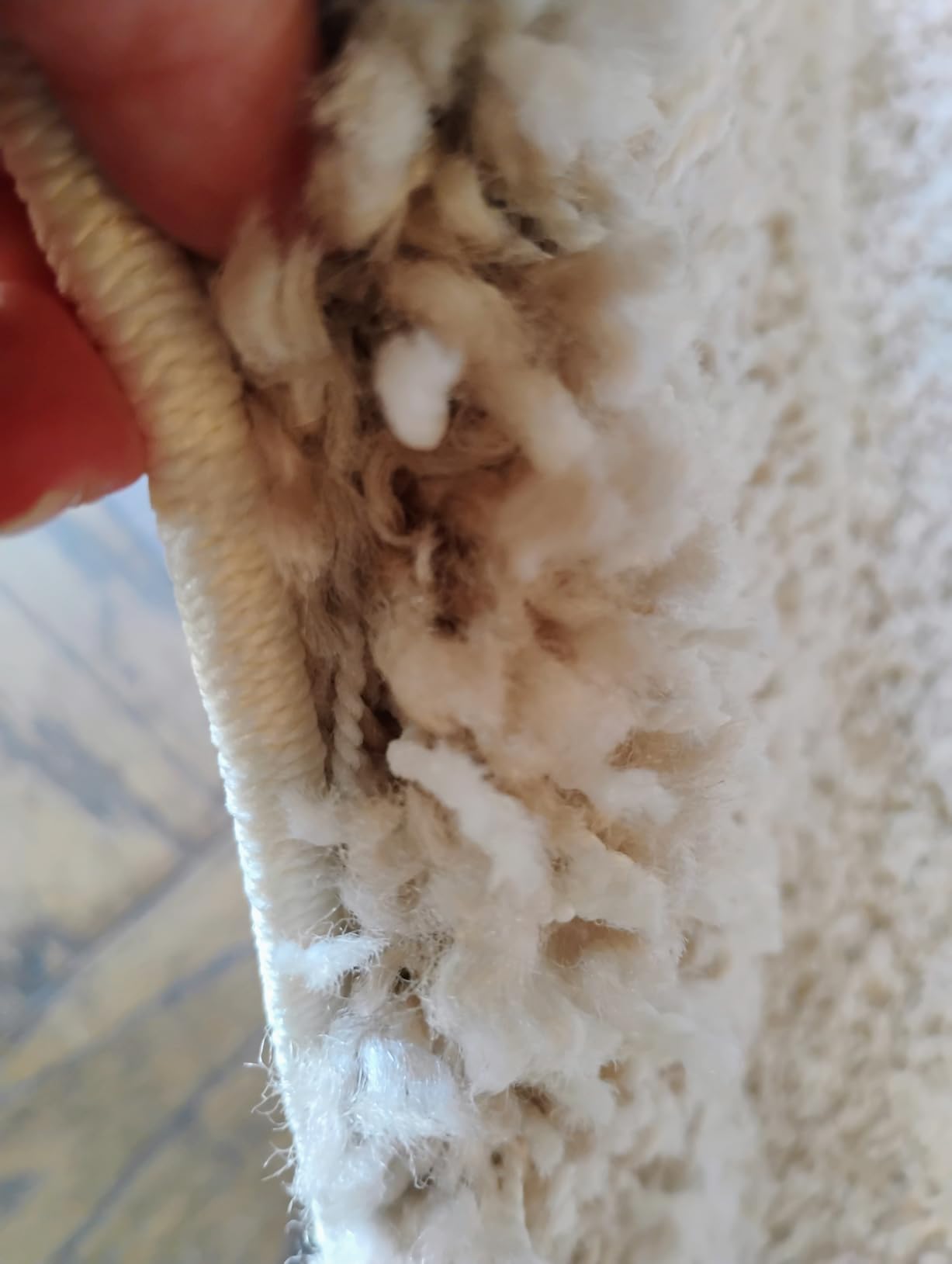 SAFAVIEH Area Rug 8x10 - California Shag Collection - Large - Beige, Non-Shedding & Easy to Clean, Ultra Plush Thick Pile, Ideal for Living Room, Bedroom, Dining Space (SG151-1313) customer photo 2