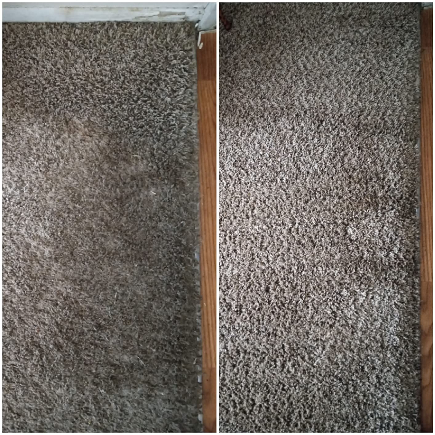 Resolve Professional Strength Spot and Stain Carpet Cleaner, Carpet Cleaner, Carpet Cleaner Solution, 32 Fl Oz customer photo 1