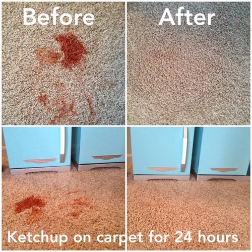 Bissell 3624 Spot Clean Professional Portable Carpet Cleaner - Corded , Black customer photo 1