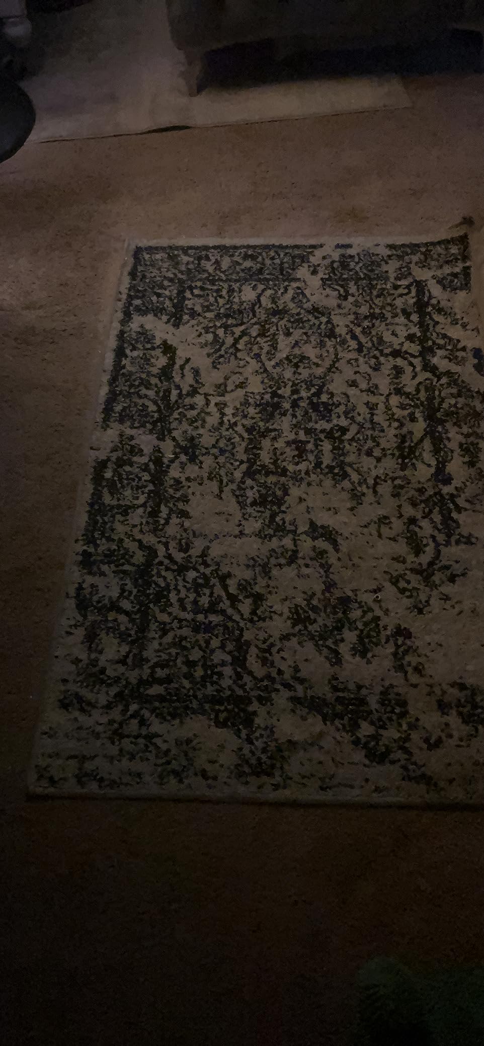 SAFAVIEH Adirondack Collection Area Rug - 10' x 14', Silver & Black, Oriental Distressed Design, Non-Shedding & Easy Care, Ideal for High Traffic Areas in Living Room, Bedroom (ADR101A) customer photo 1