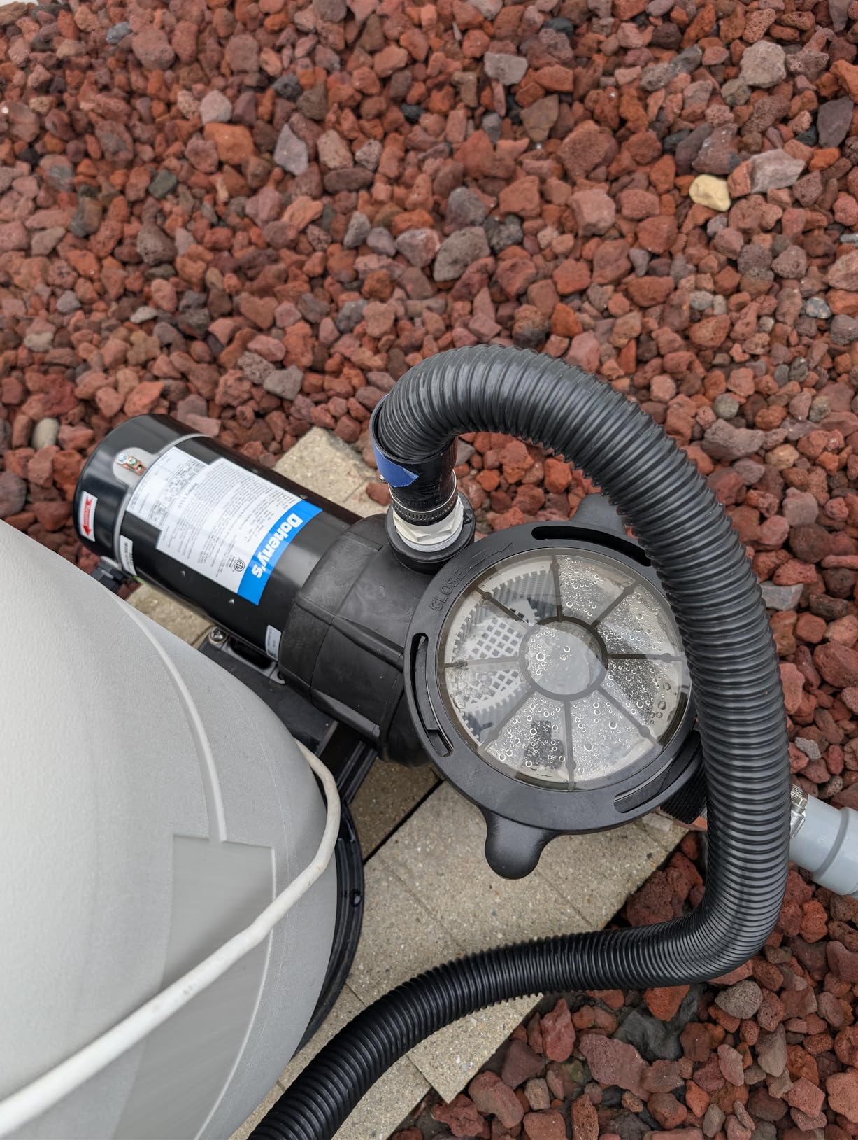Doheny's 1 HP Above Ground Swimming Pool Pump, 115V, 75 GPM customer photo 2