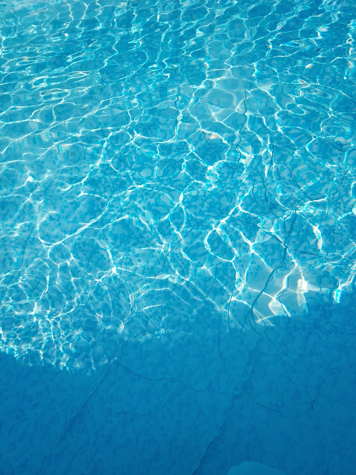 Doheny's 1.5 HP Above Ground Swimming Pool Pump customer photo 1