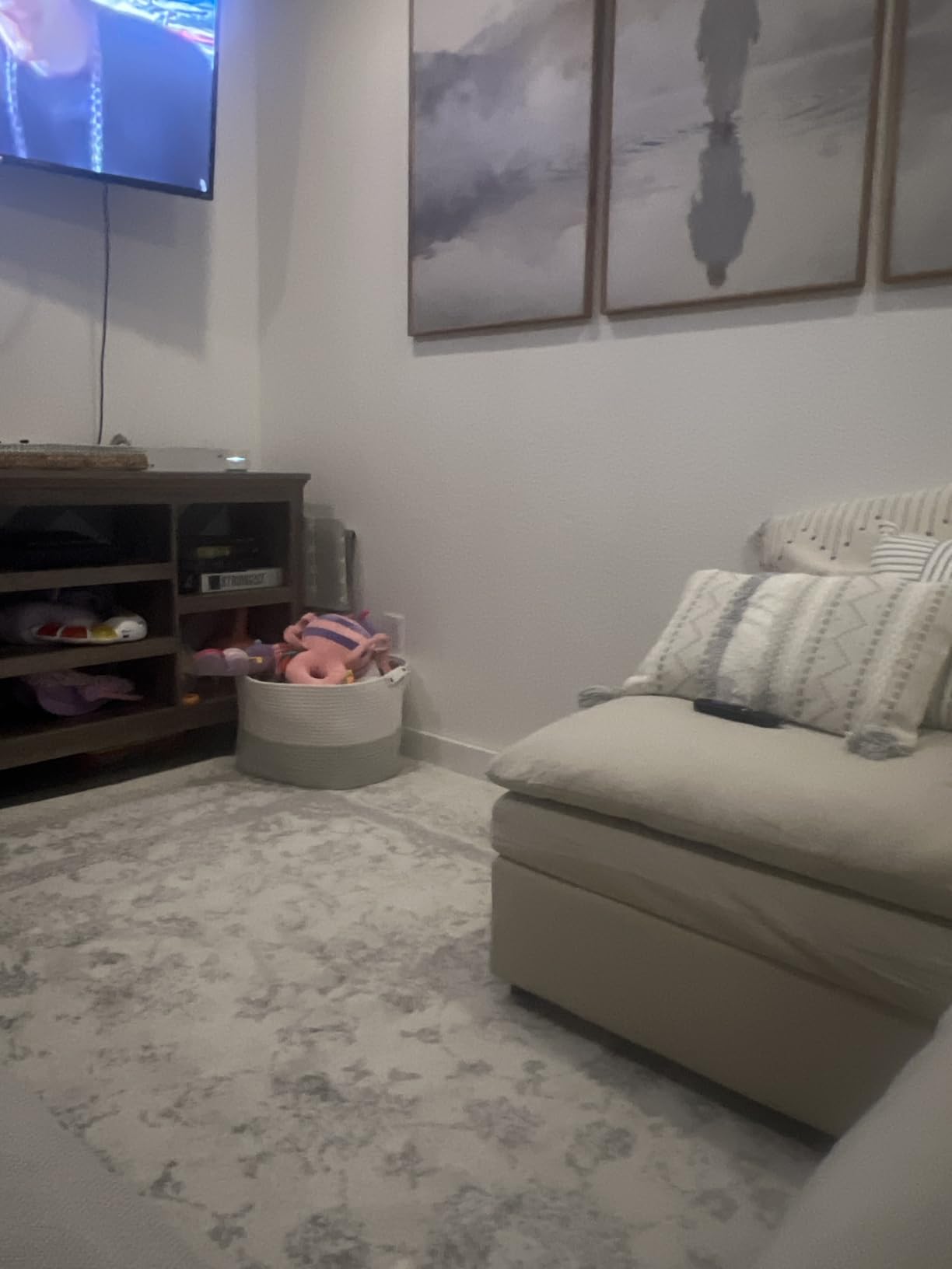 SAFAVIEH Area Rug 8x10 - Adirondack Collection - Large - Ivory & Silver, Distressed Vintage Floral Design, Non-Shedding & Easy to Clean, Ideal for Living Room, Bedroom, Dining Space (ADR109C) customer photo 1