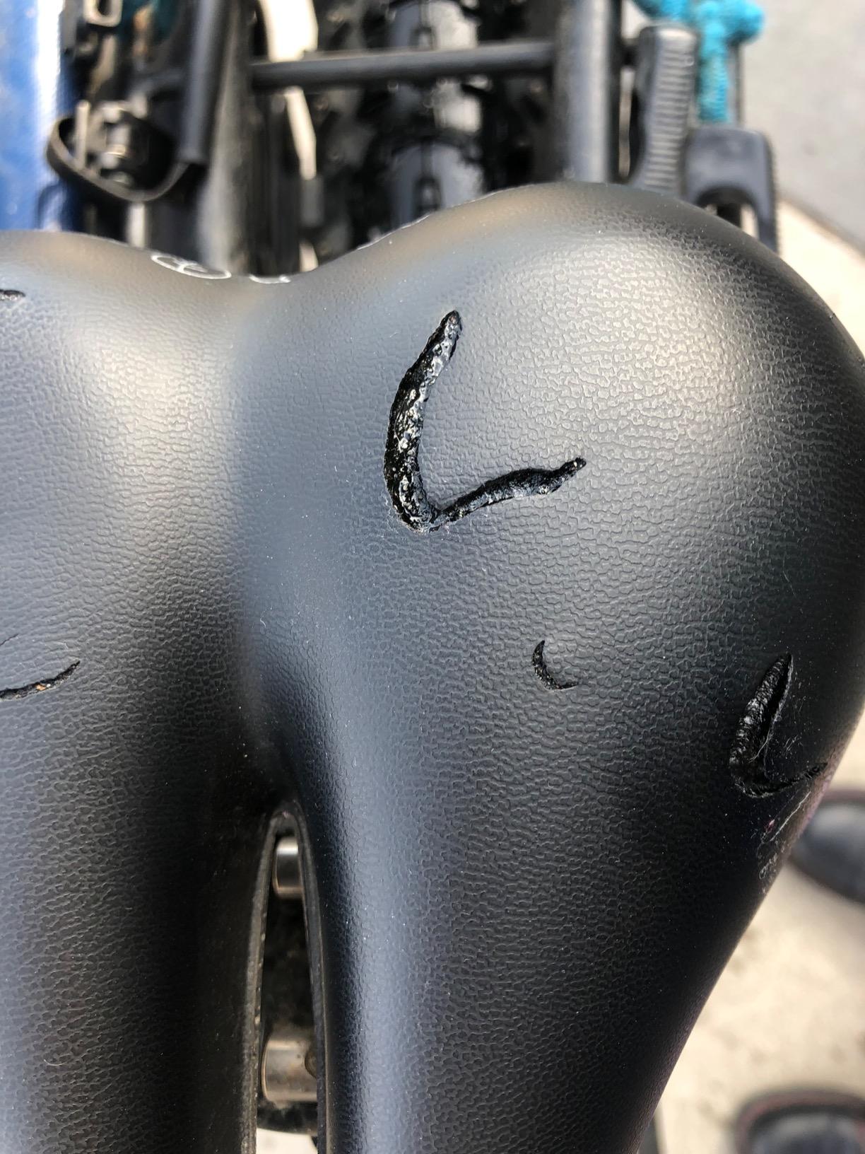 Terry Liberator X Gel Bike Seat for Women - Comfortable Touring Bicycle Seat Cushion, Wider Contoured Rear & Large Cutaway, Dura-Tek Cover customer photo 1