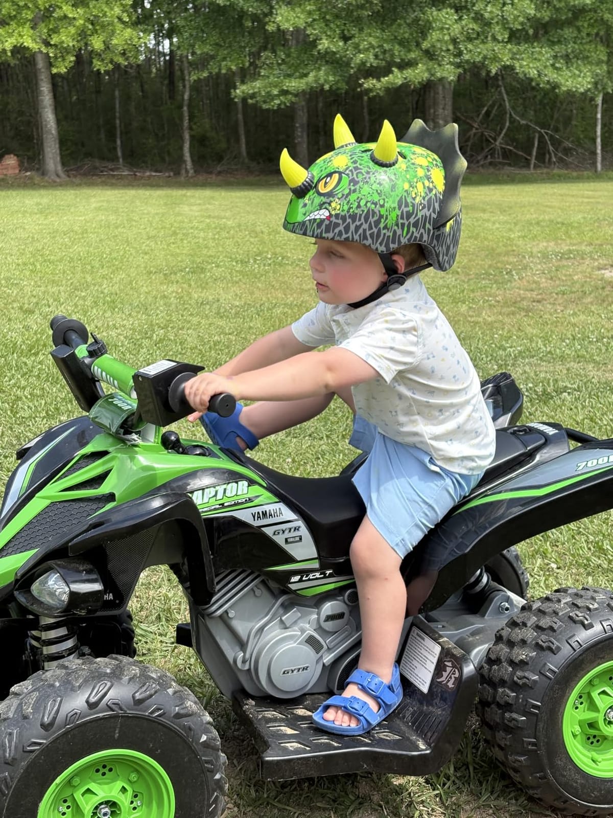 Raskullz Dinosaur Toddler 3+ and Child 5+ Helmets customer photo 2