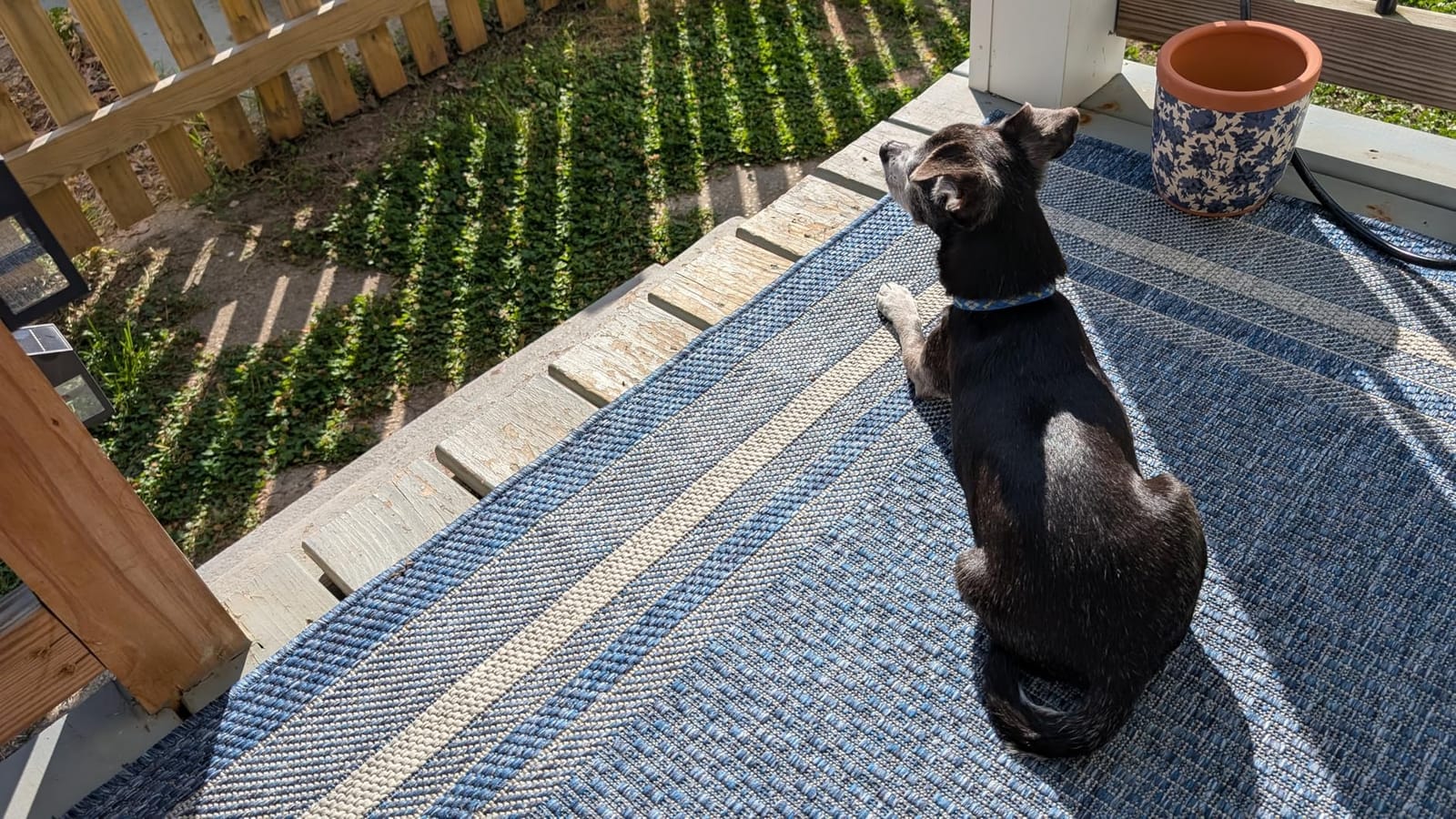 Unique Loom Outdoor Border Collection Area Rug - Soft Border (7' 1