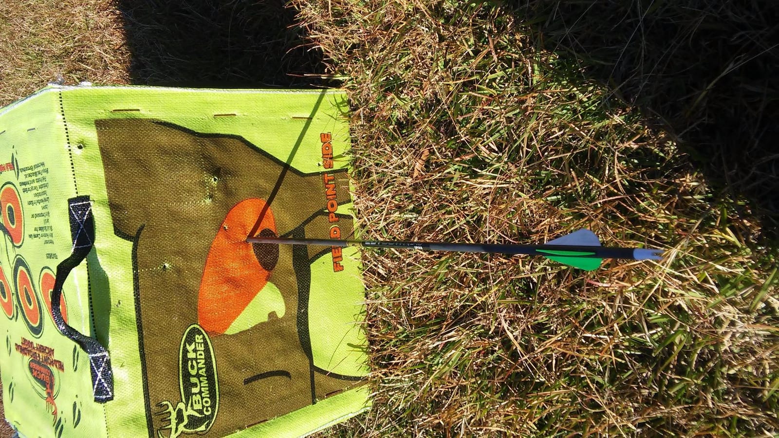 Samick Sage Archery Takedown Recurve Bow 62-inch - Bows for Teens to Adults - Beginners to Advanced, for Hunting & Target Practice customer photo 2