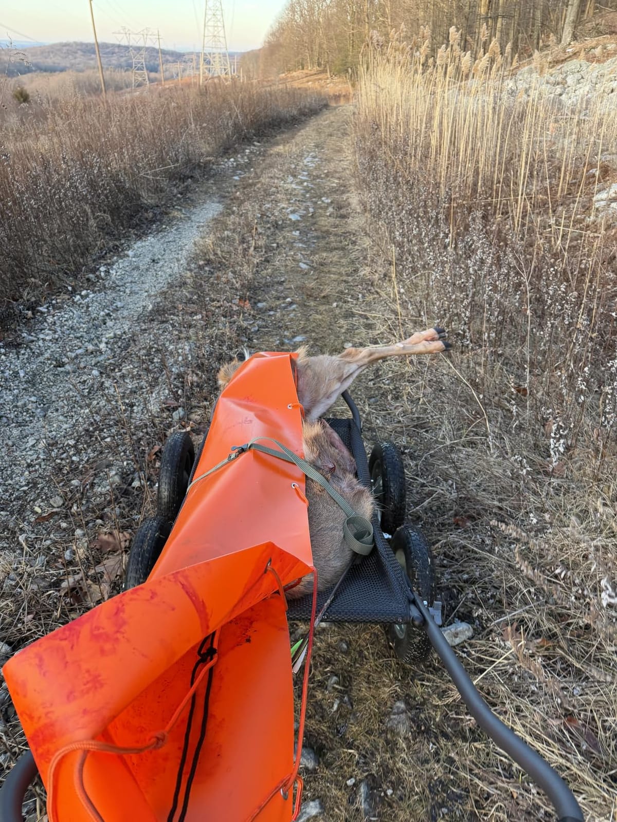 Hawk Crawler All-Terrain Multi-Use Deer Cart w/Dual Pivoting Axles, Black customer photo 2