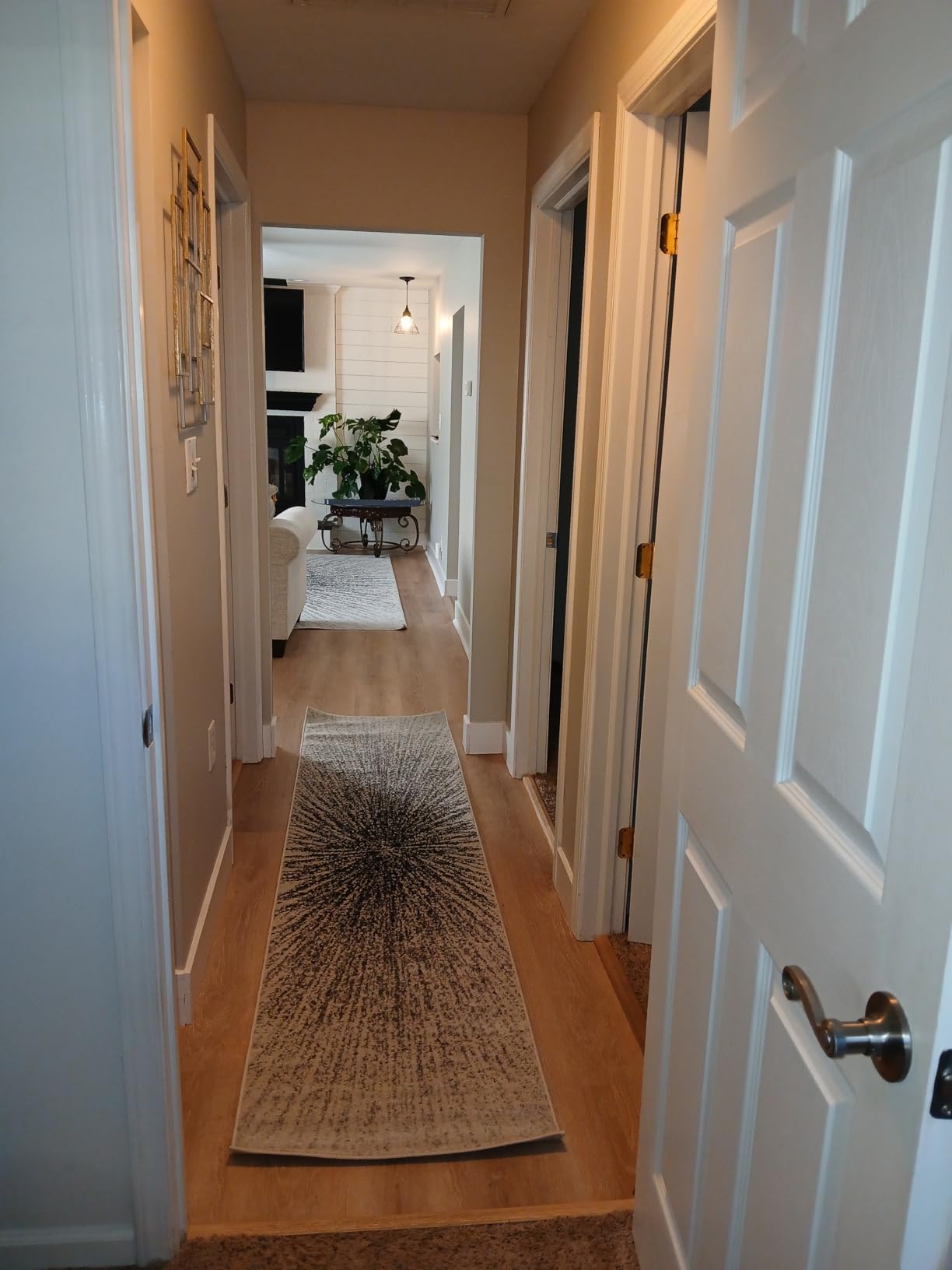 SAFAVIEH Evoke Collection Area Rug - 6'7