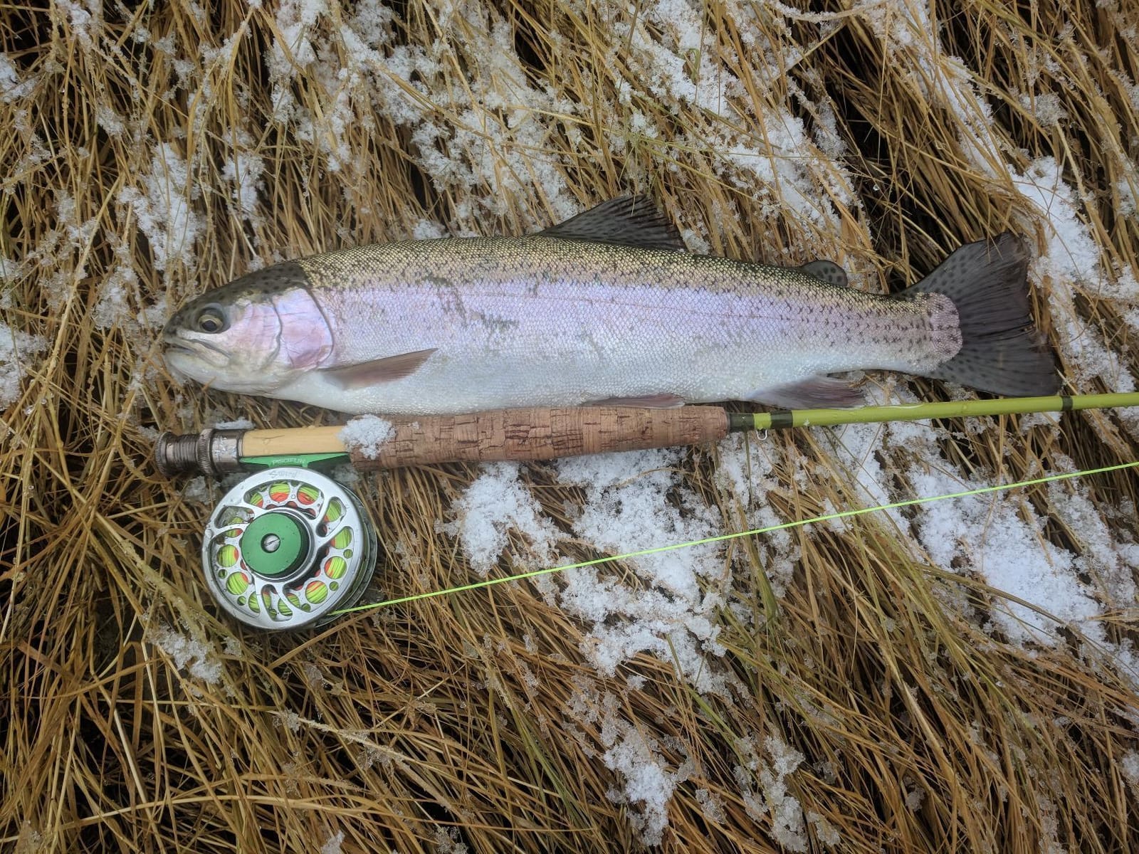 Maxcatch Ultra-Lite Fly Rod for Stream River Panfish/Trout Fishing 1/2/3 Weight and Combo Set Available customer photo 2