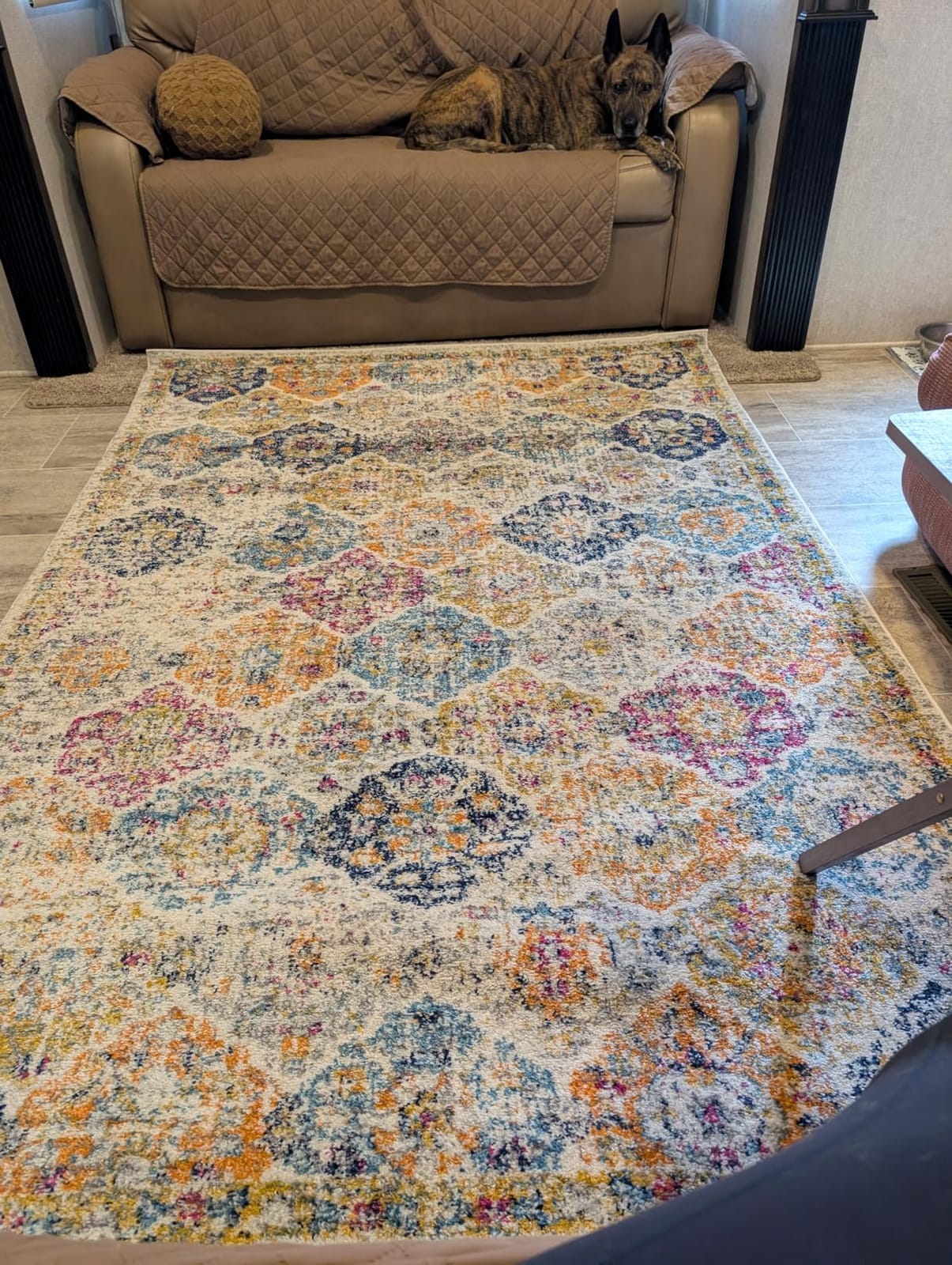 SAFAVIEH Area Rug 8x10 - Madison Collection - Large - Cream & Multi, Boho Chic Distressed Design, Non-Shedding & Easy Cleaning, Ideal for Living Room, Bedroom, Office, Dining Space (MAD611B) customer photo 2