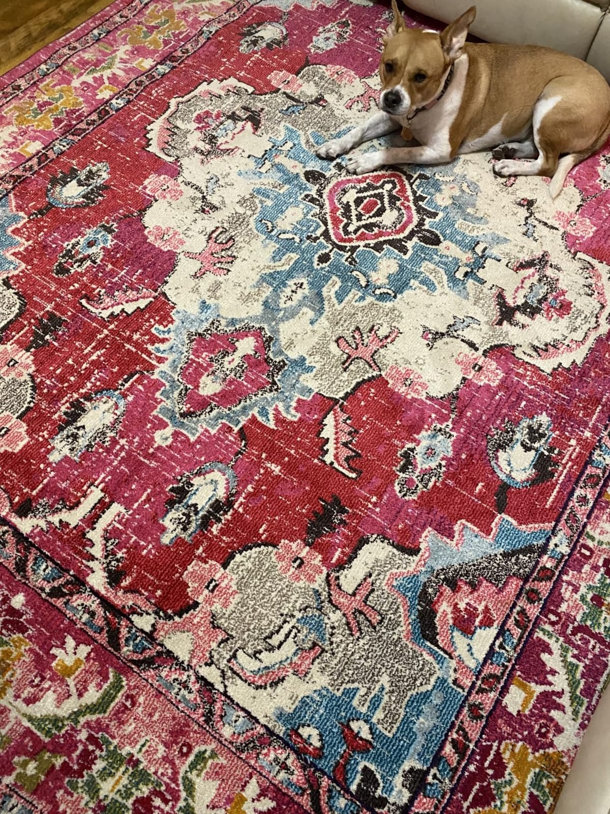 SAFAVIEH Monaco Area Rug 8x10, Large Forest Green & Light Blue MNC243F customer photo 2