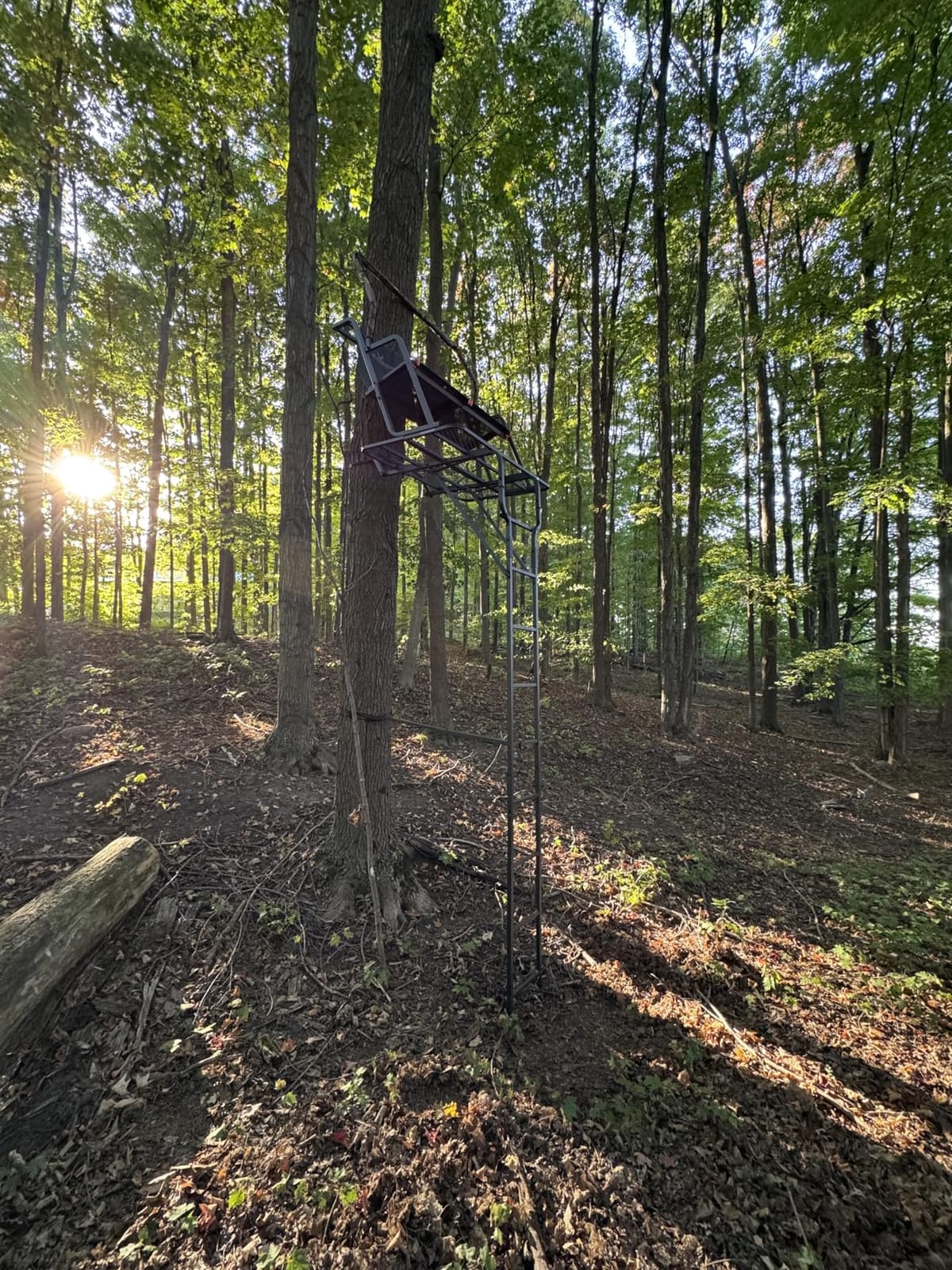 BIG GAME 2 Person Ladder Stand customer photo 1