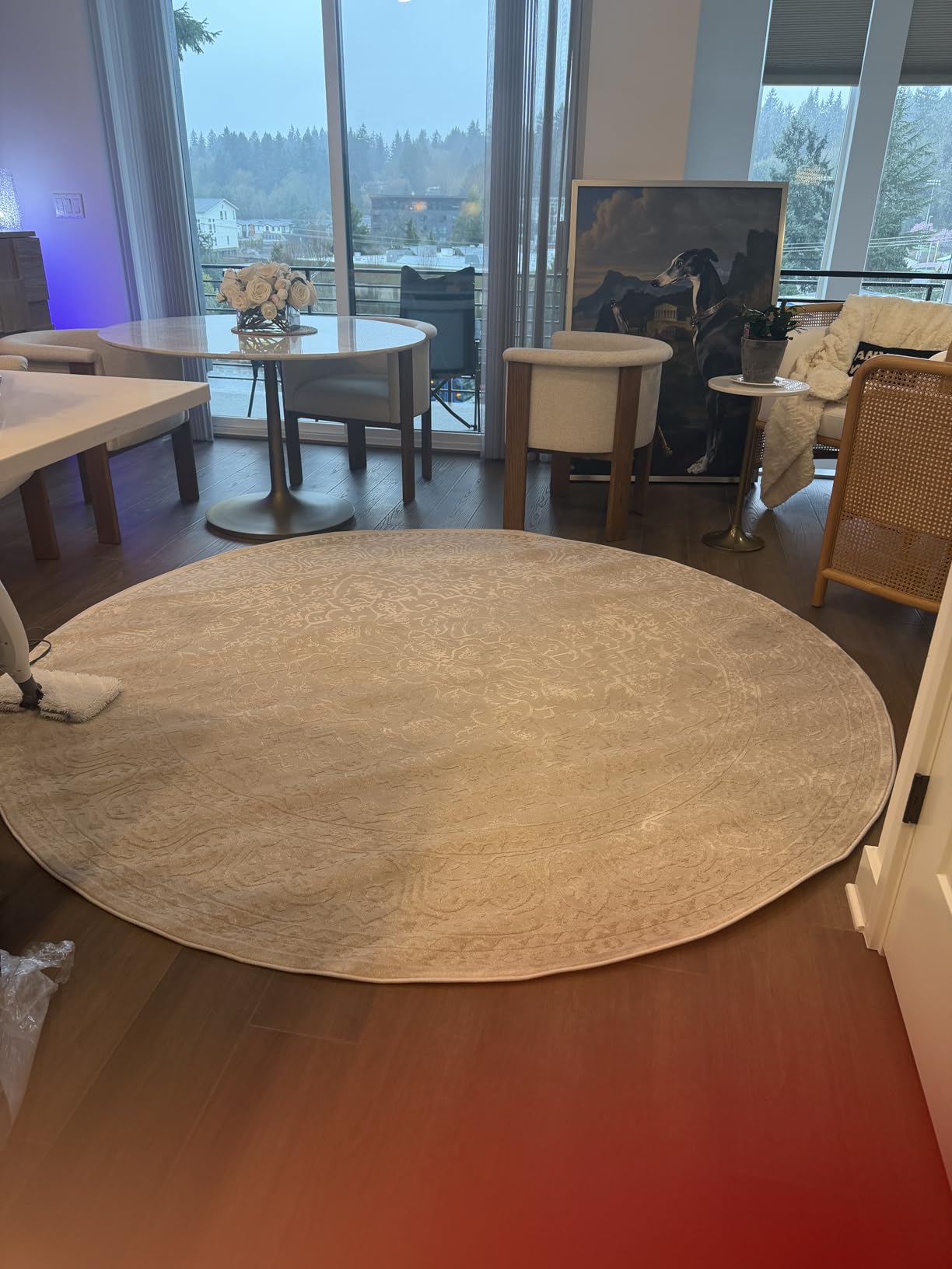 SAFAVIEH Reflection Area Rug 5'1