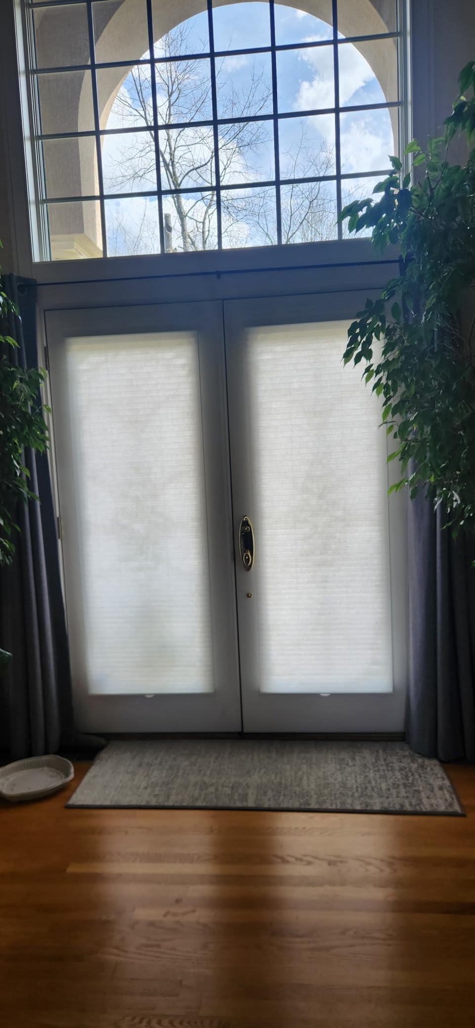 CHICOLOGY Cordless Cellular Shades, Room Darkening, Mist, 30x48 customer photo 2