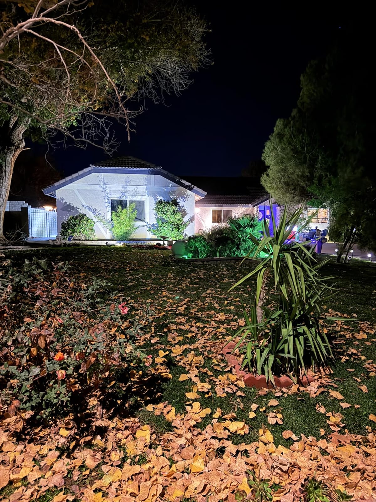 Z Outdoor Landscape LED Lighting 5W Waterproof Graden Lights COB Led Spotlights with Spiked Stand for Lawn Decorative Lamp US 3- Plug 3500K Warm White Lights (2 Packs) customer photo 2