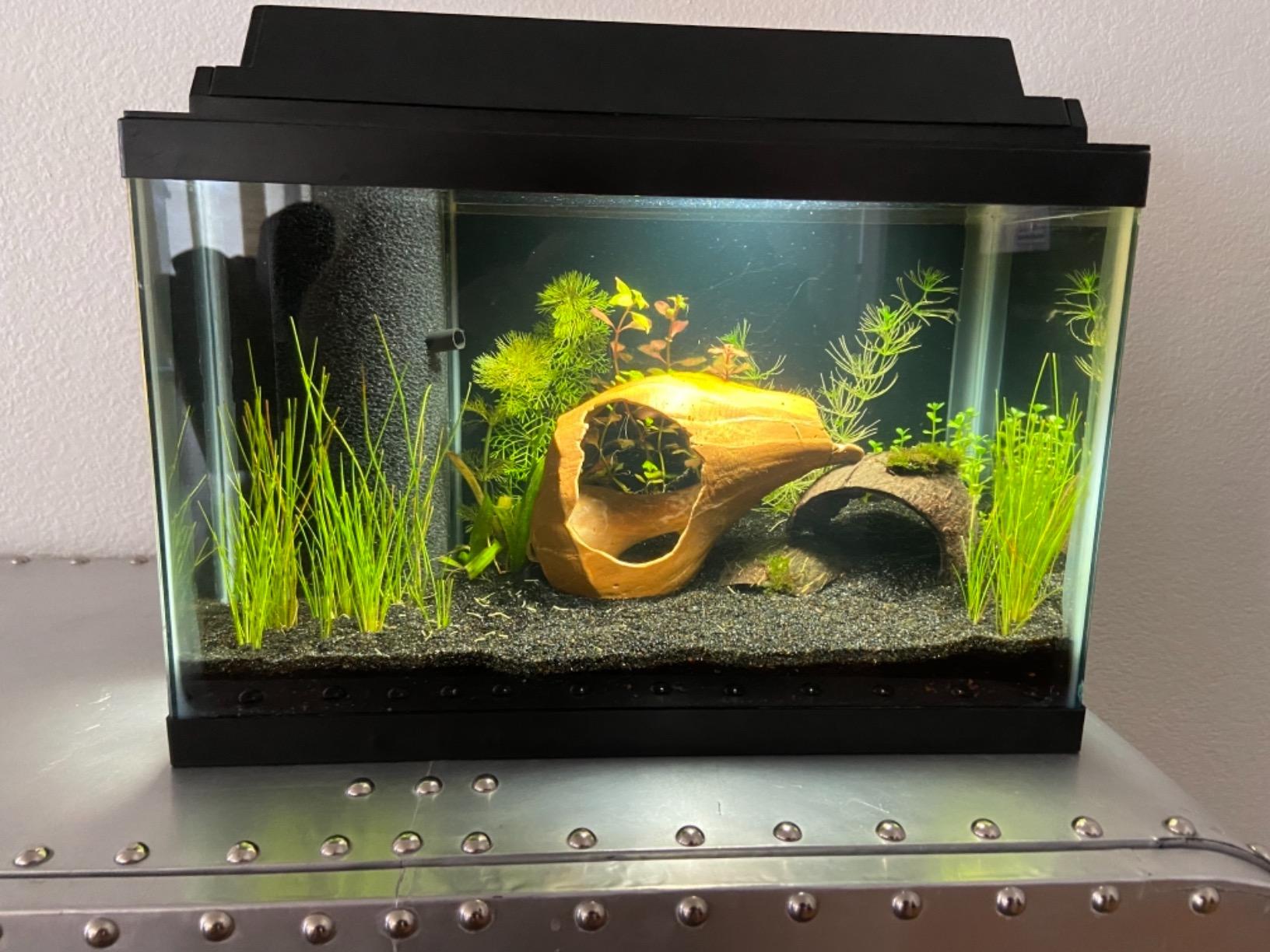AQUANEAT Small Fountain Pump, 80 GPH Submersible Water Pump for Aquarium Fish Tank, Outdoor Water Fountain, Hydroponics, Pond Filter Pump customer photo 1