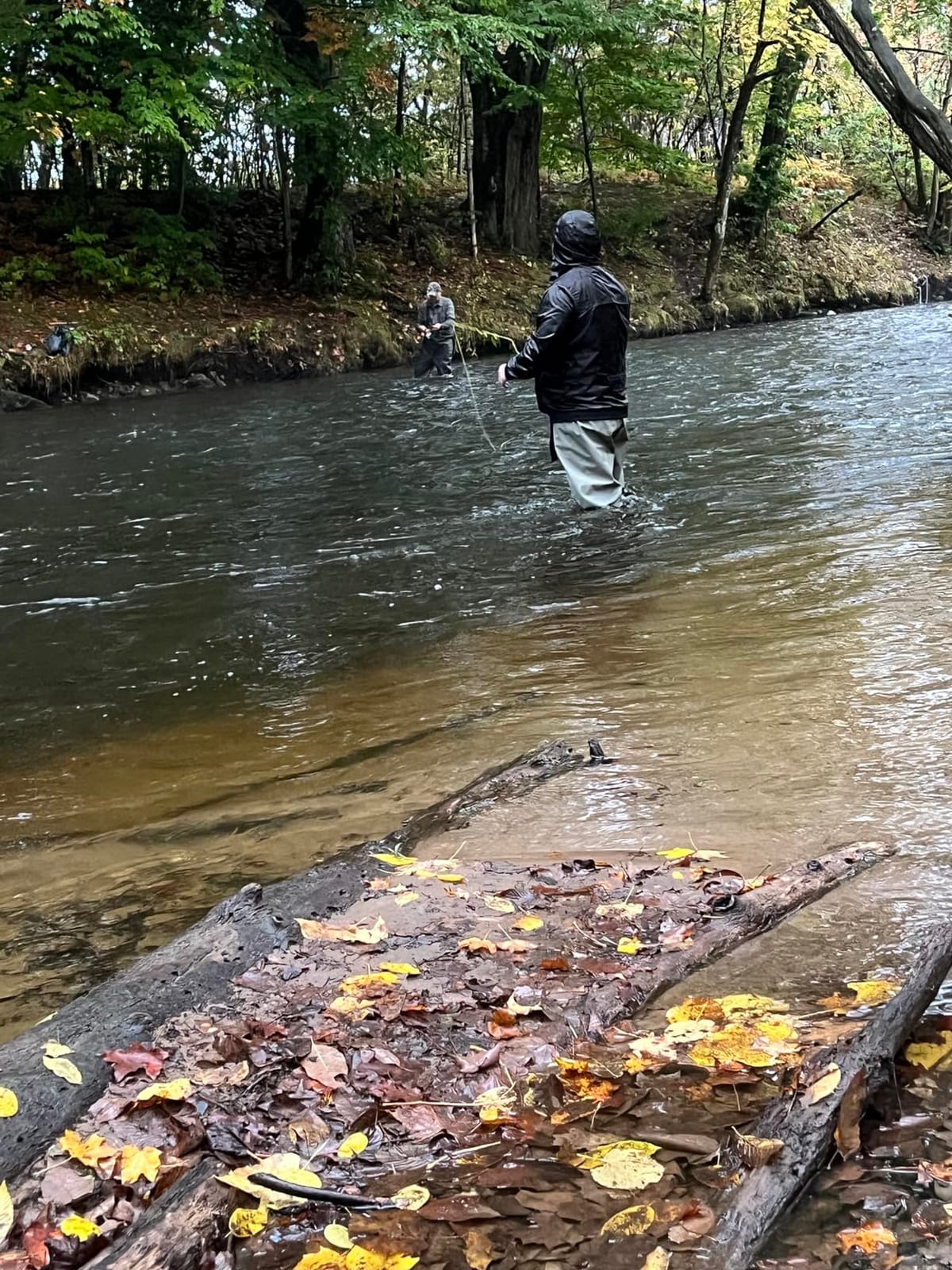 FROGG TOGGS Canyon II Waterproof Chest Fishing Waders, Stockingfoot customer photo 1