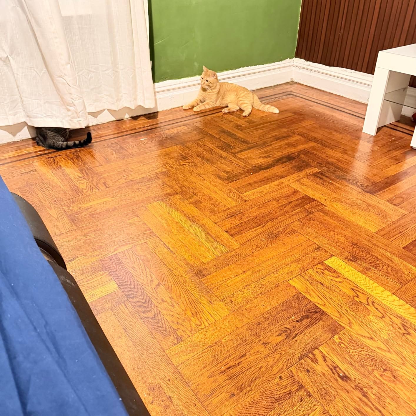 Weiman Hardwood Floor Cleaner and Polish Restorer Bundle, Citrus Scent customer photo 2