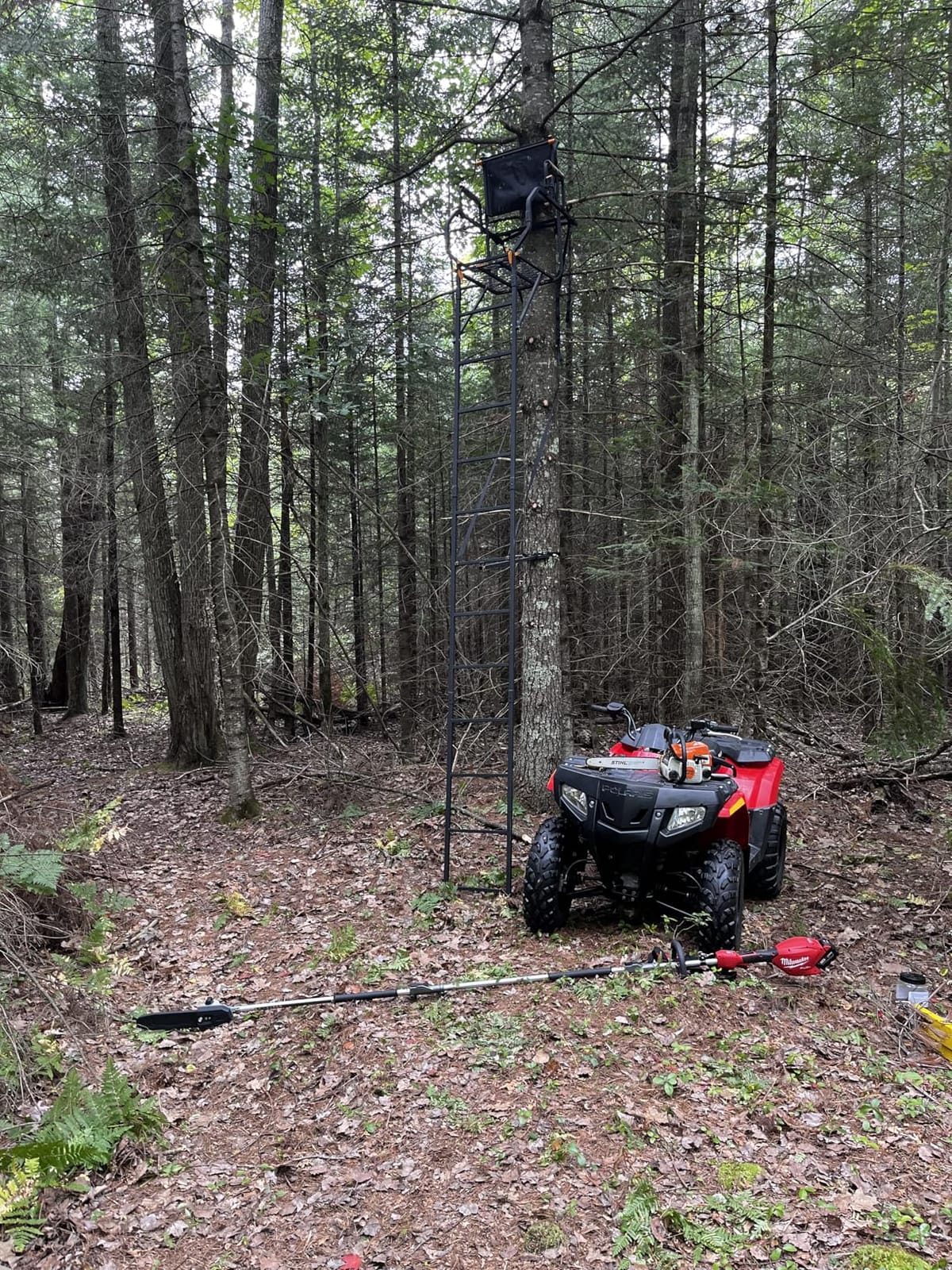 MUDDY Deer Hunting Climbing Adjustable Quiet Heavy-Duty Huntsman Deluxe 17 ft 1-Person Ladder Tree Stand customer photo 2
