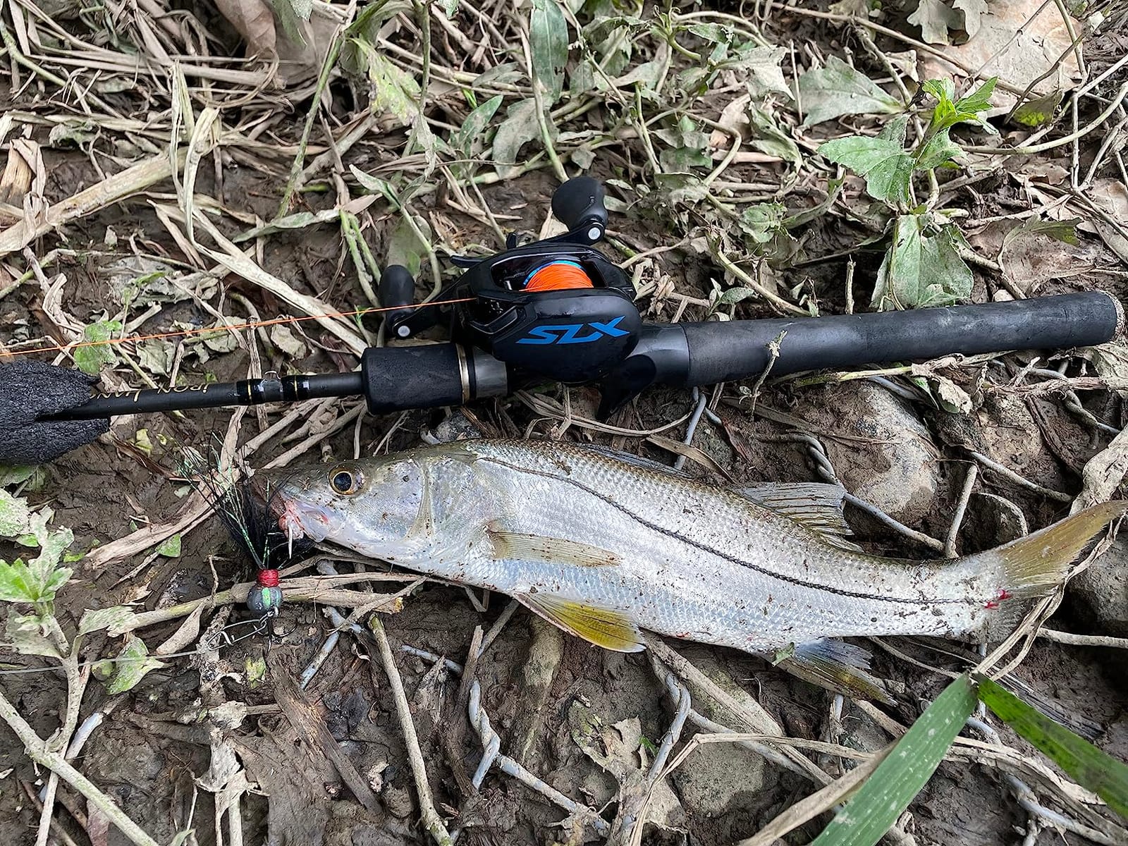 Shimano SLX Baitcasting Reels customer photo 1